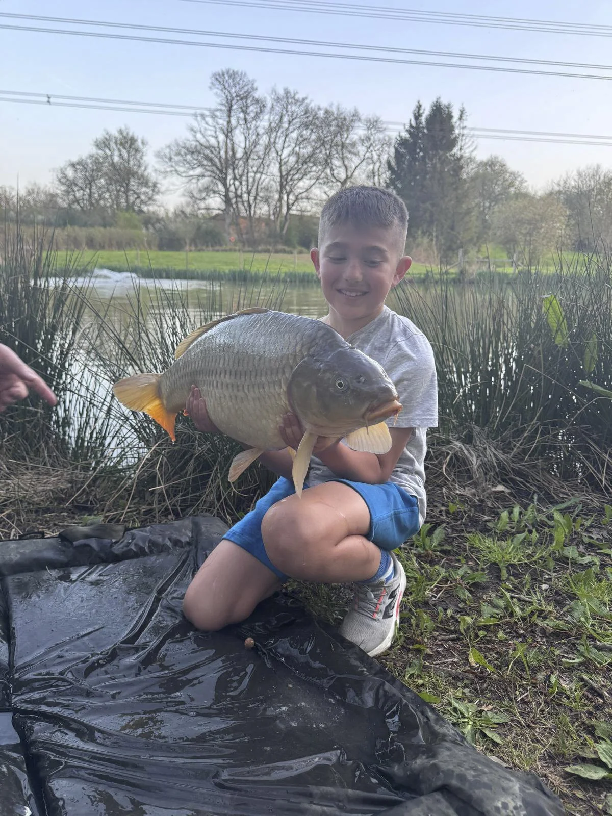 A young boy kneeling on the grass near a pond, holding a large fish with a smile on his face, surrounded by tall grass and trees during the daytime.