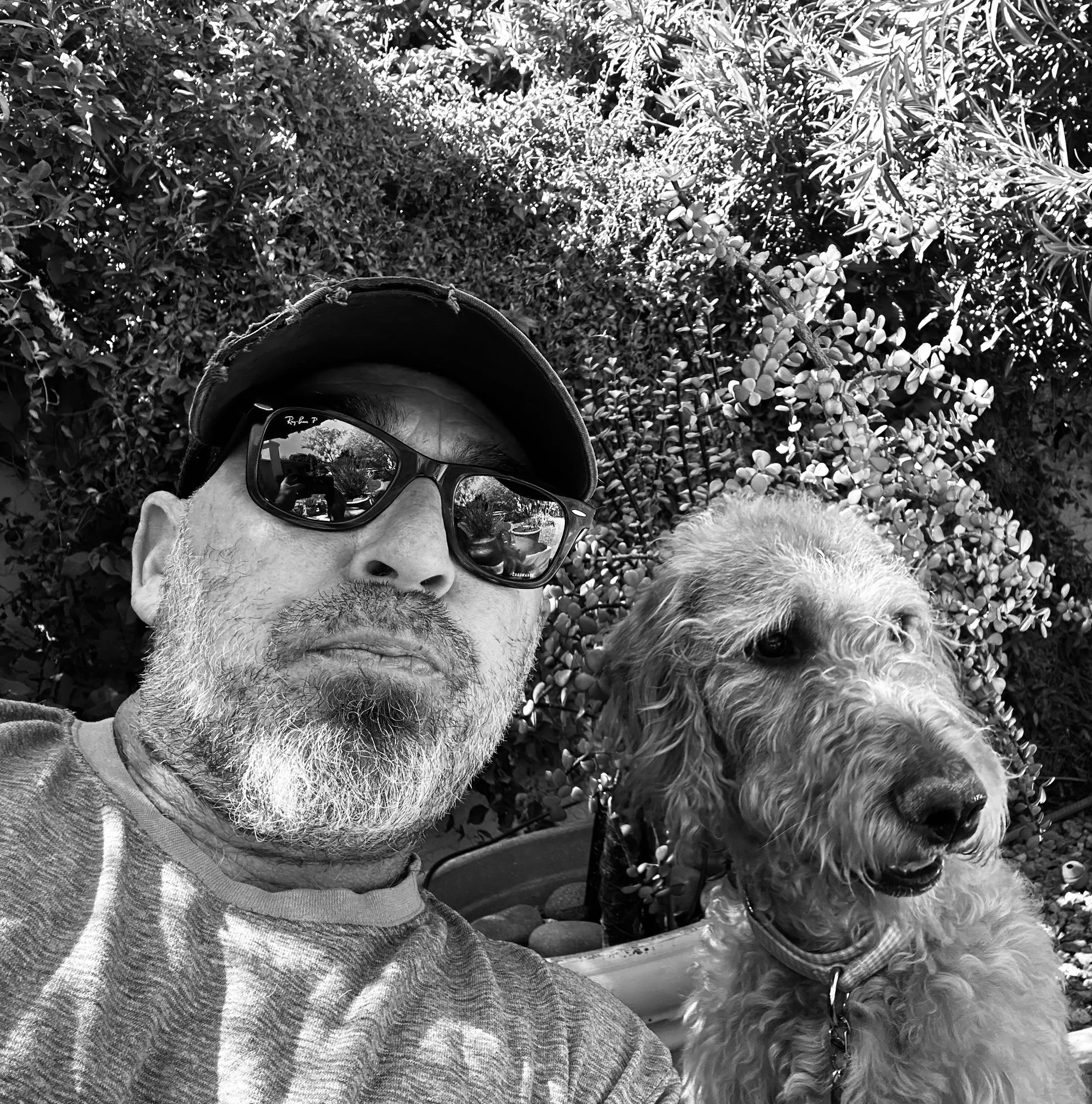 A man wearing sunglasses and a cap taking a selfie with a curly-haired dog outdoors, with foliage in the background.
