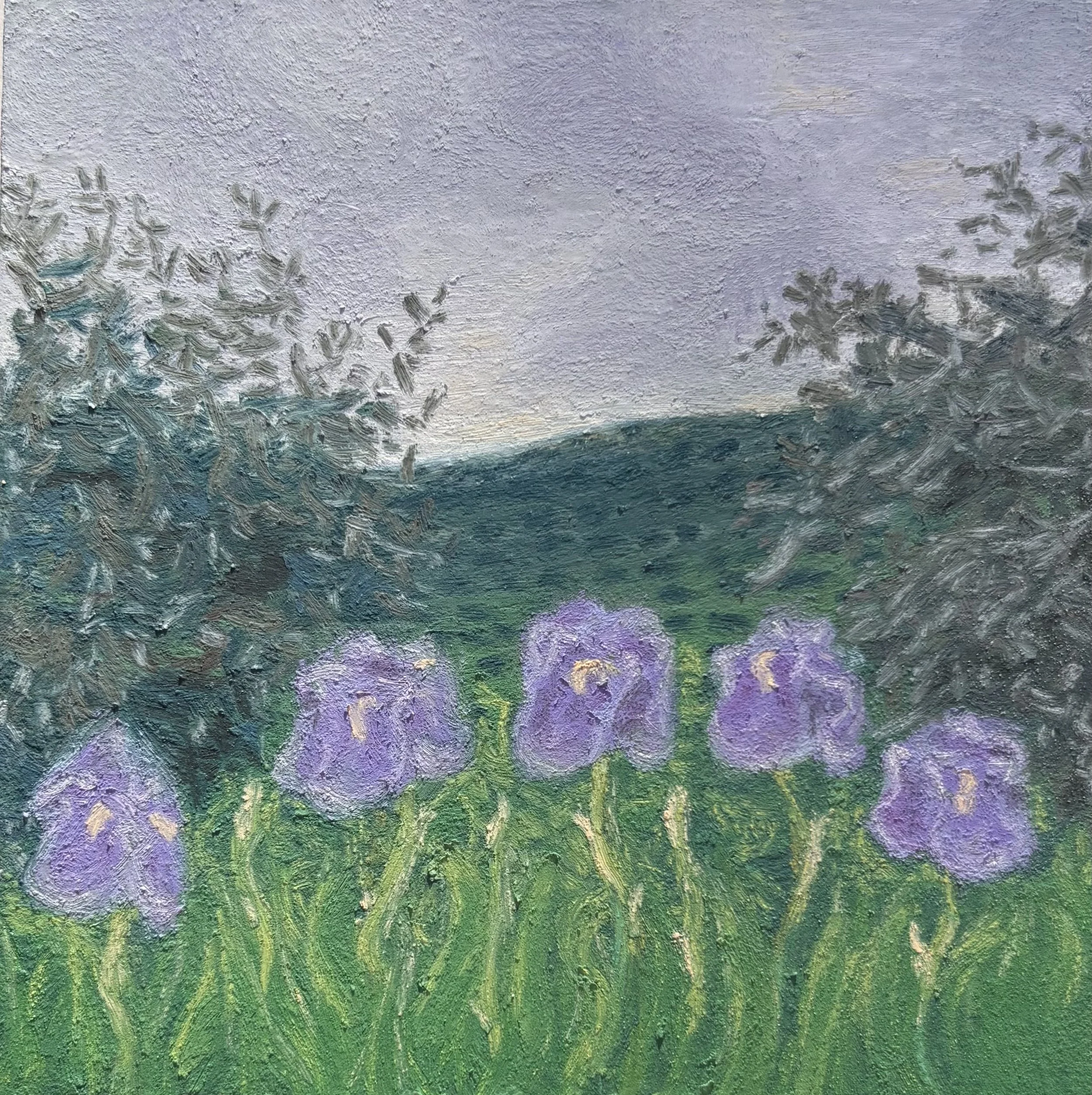 DaVinci’s Irises
