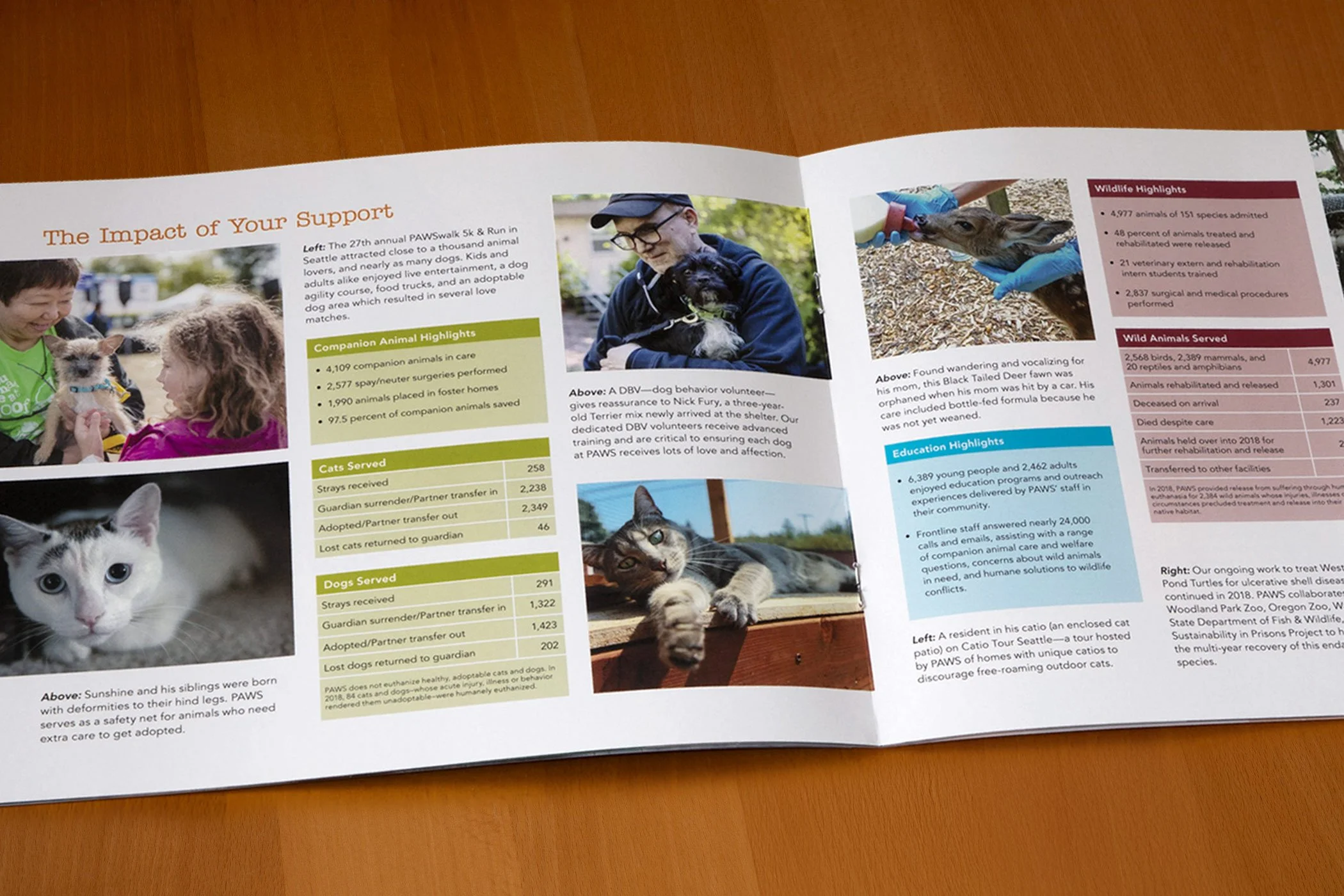 paws-full-color-nonprofit-annual-report-inside-spread-featuring-a-by-the-numbers-animal-update-designed-by-edwina-bell-design-port-angeles-graphic-designer.jpg