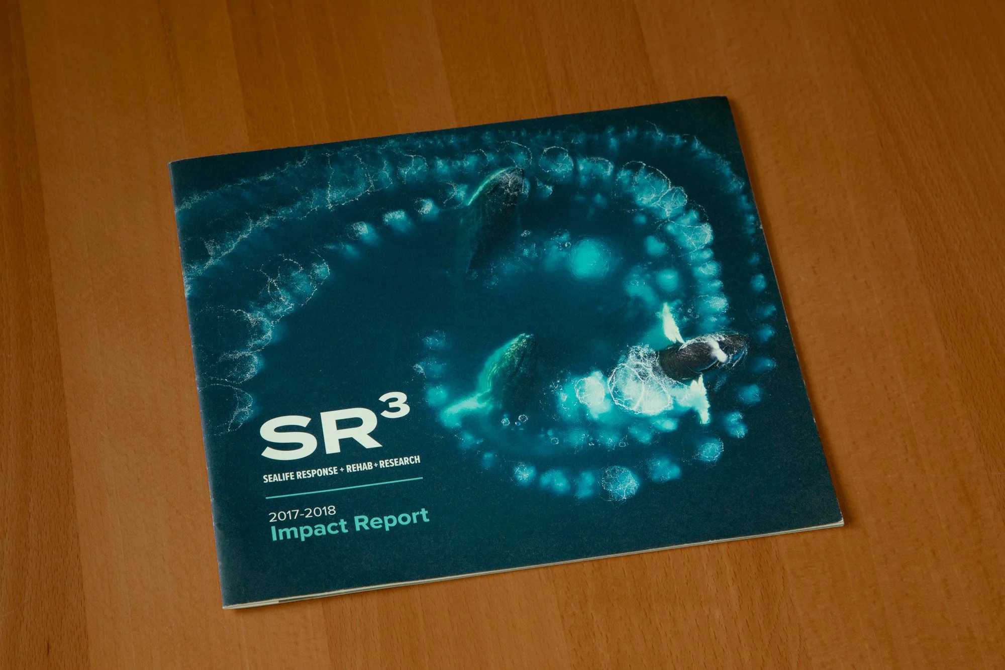 sr3-nonprofit-full-color-annual-report-cover-featuring-a-whale-bubble-net-feeding-designed-by-edwina-bell-design-port-angeles-graphic-designer.jpg