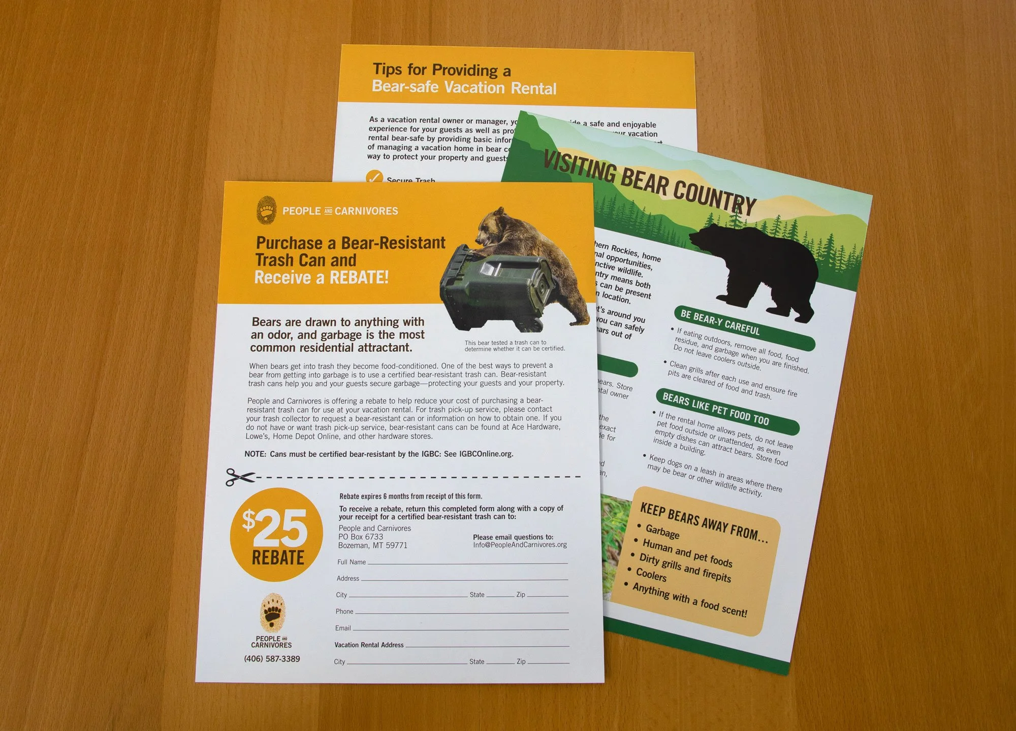 Edwina-Bell-Design-port-angeles-graphic-designer-marketing-educational-flyer.jpg