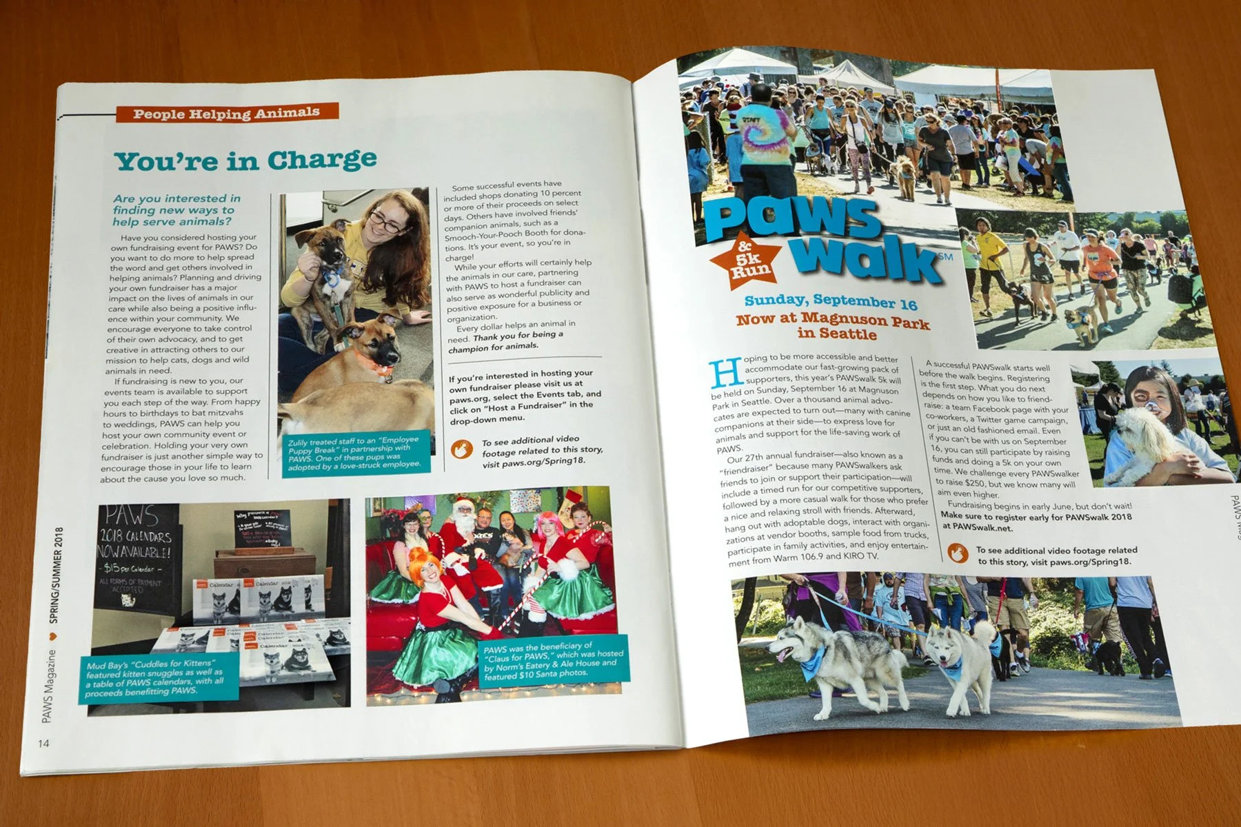 paws-colorful-animal-nonprofit-magazine-spread-featuring-animal-articles-and-pawswalk-designed-by-edwina-bell-design-port-angeles-graphic-designer.jpg