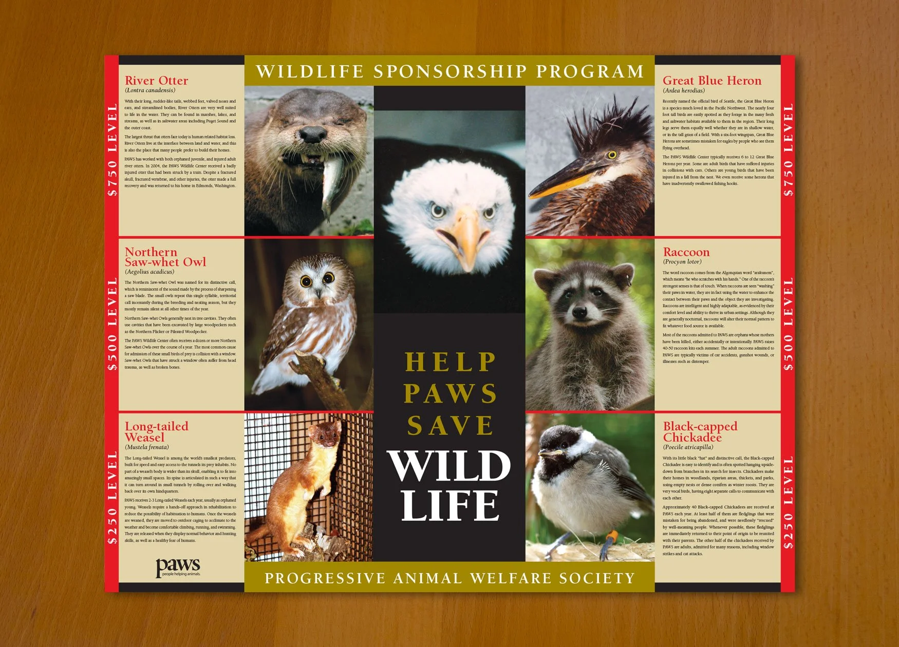 A large, colorful wall print titled "Help Paws Save Wild Life" featuring images and descriptions of various animals.