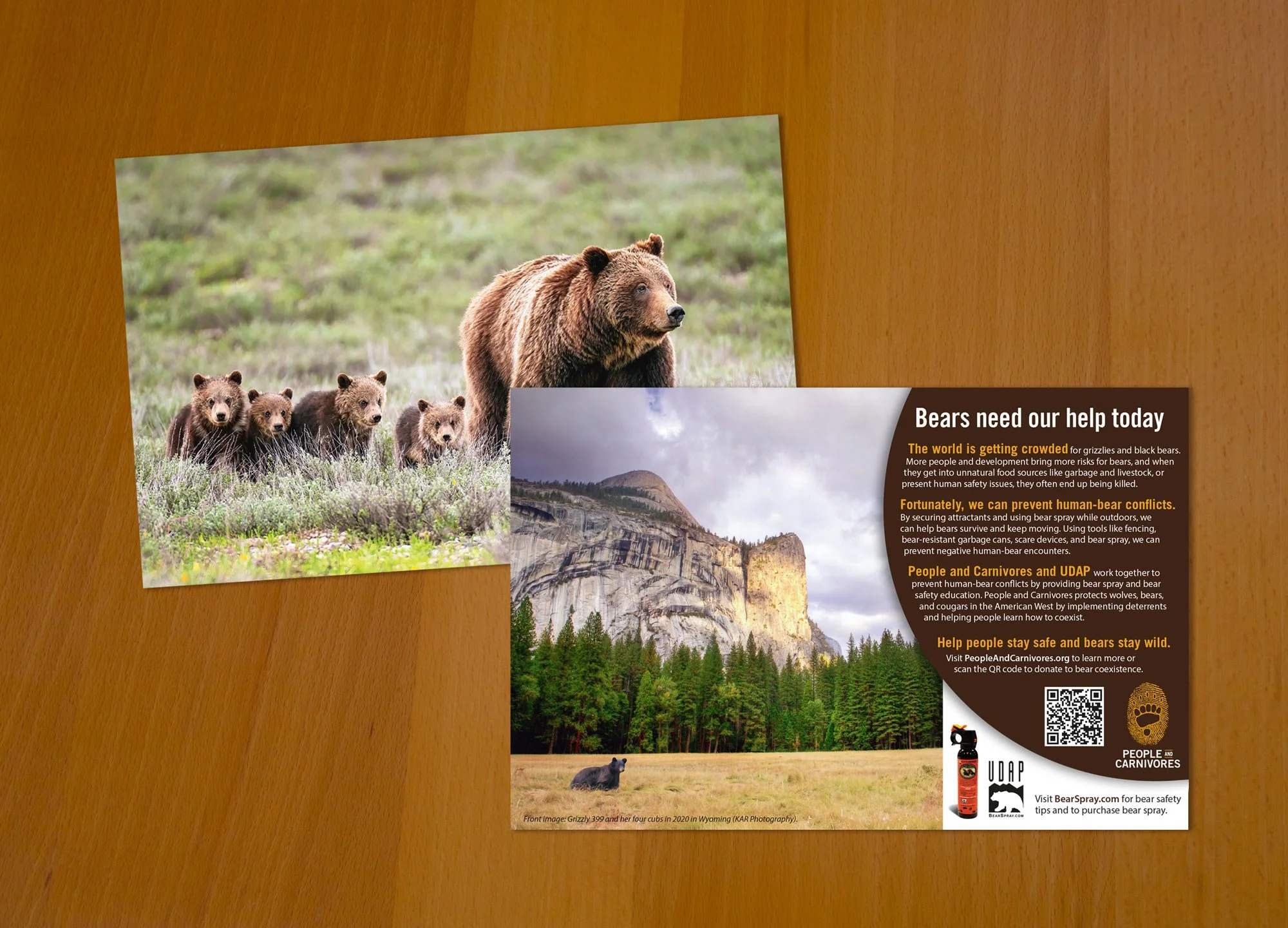 Large promotional rack card or marketing postcard 