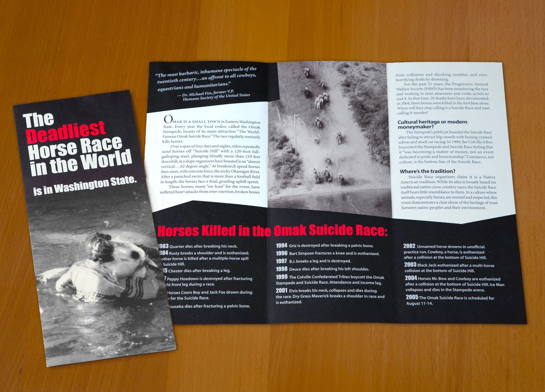 Omak Suicide Race advocacy tri-fold brochure