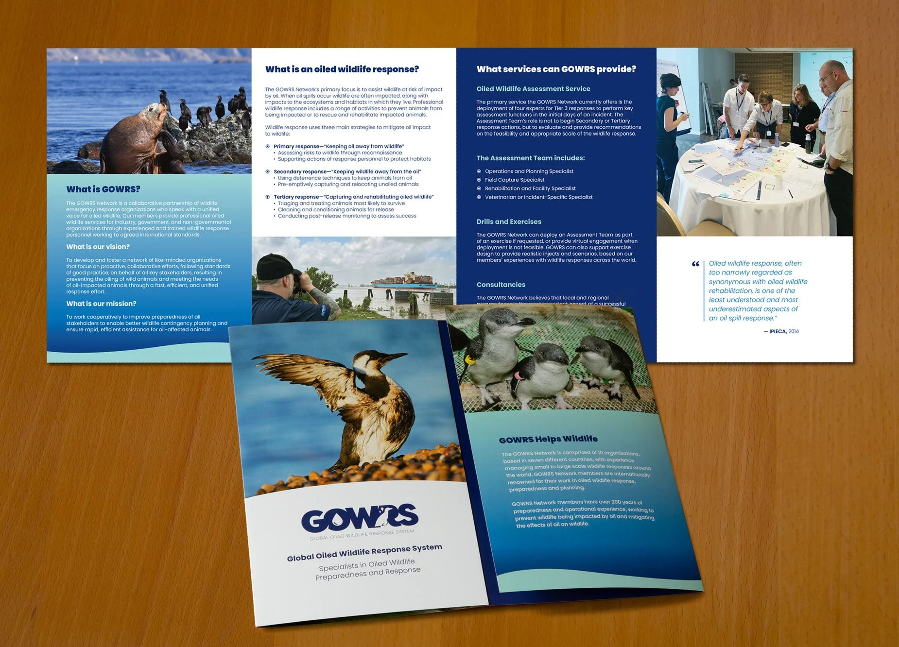 Roll fold marketing brochure