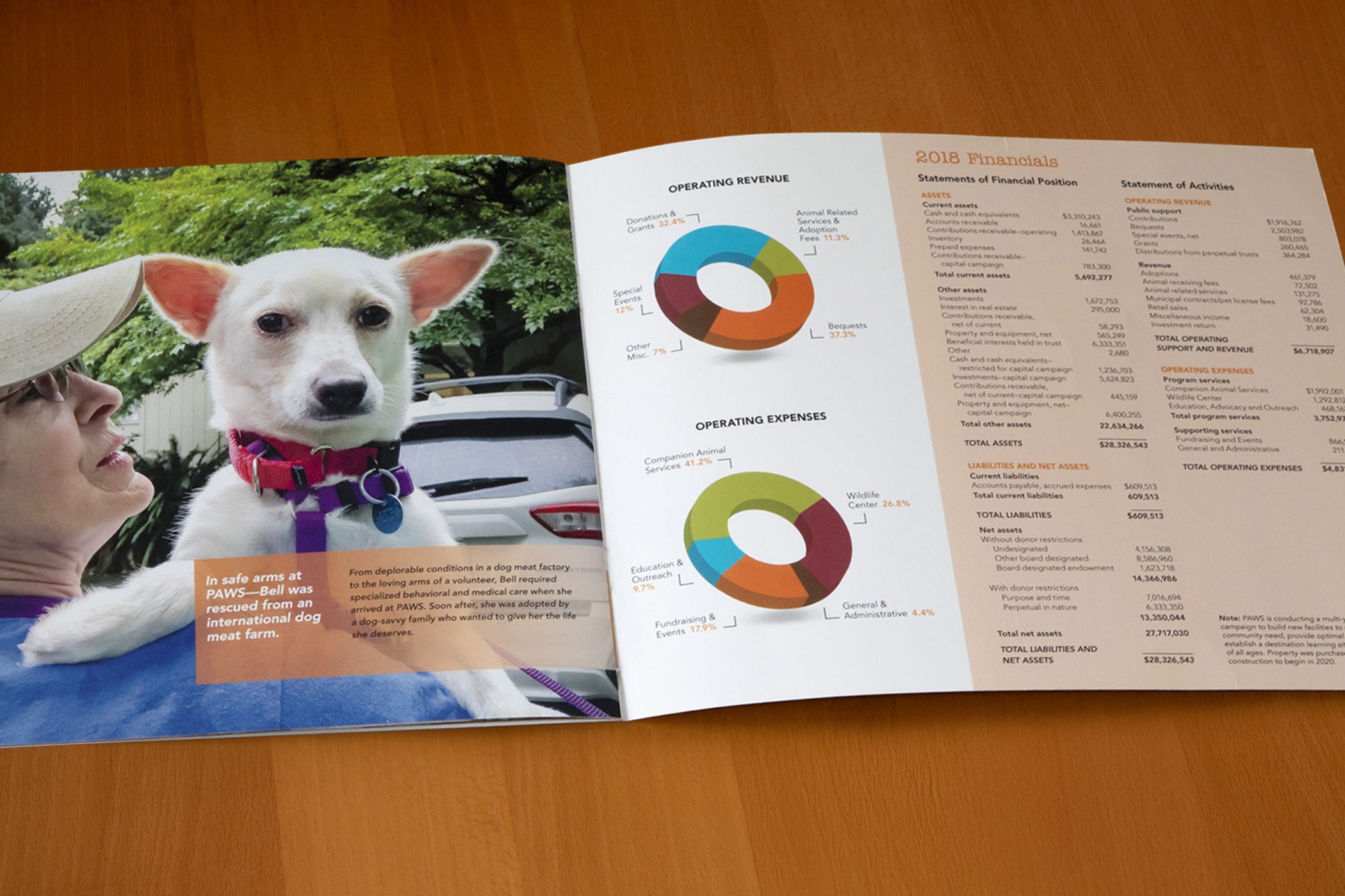 paws-full-color-nonprofit-annual-report-inside-spread-financials-page-designed-by-edwina-bell-design-port-angeles-graphic-designer.jpg