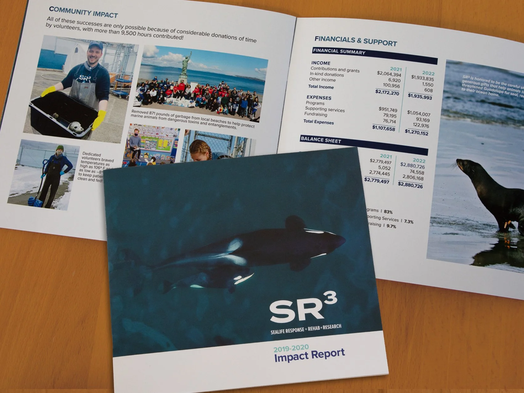 Annual report spread