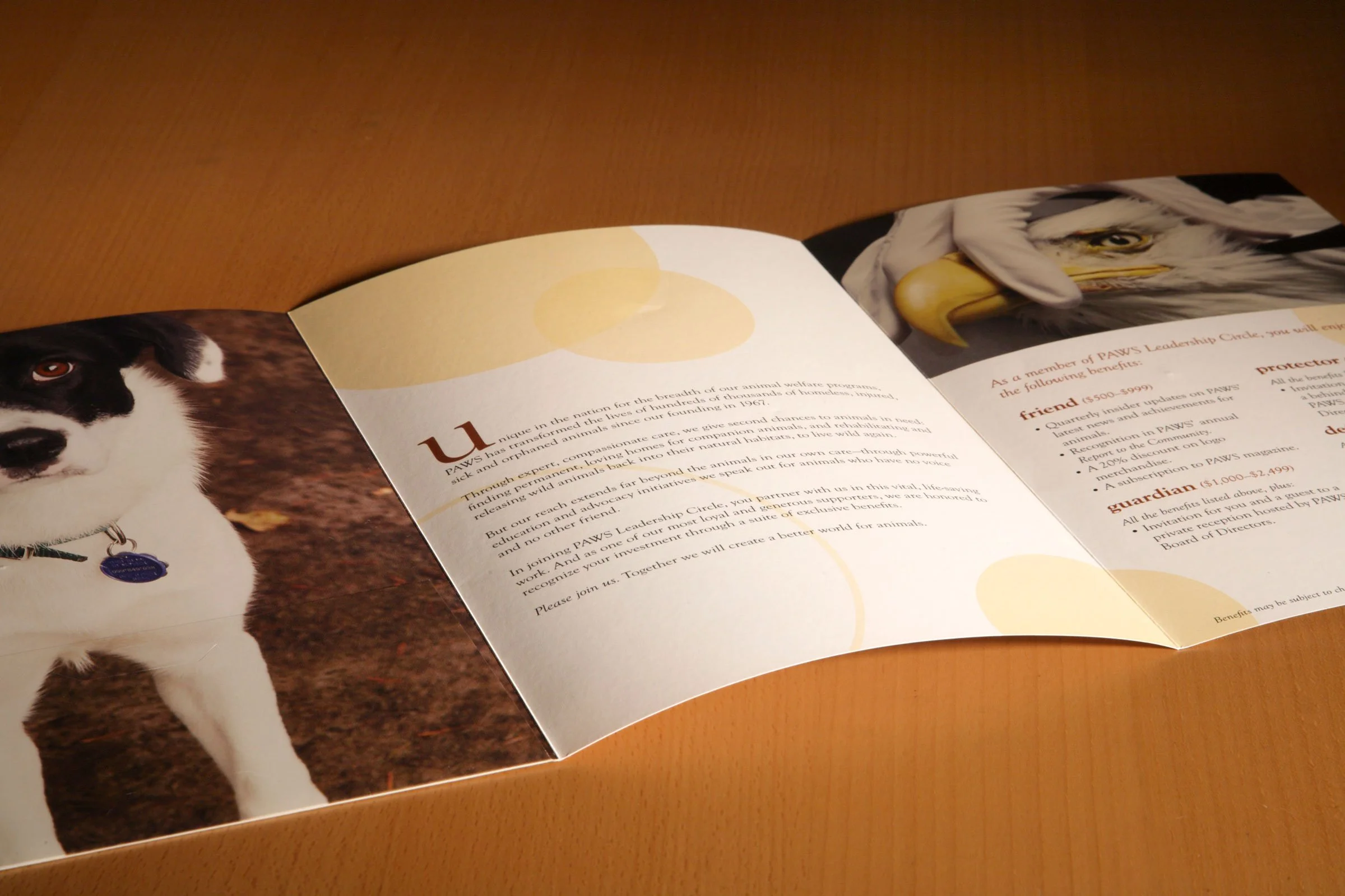 Sponsorship Opportunities brochure spread