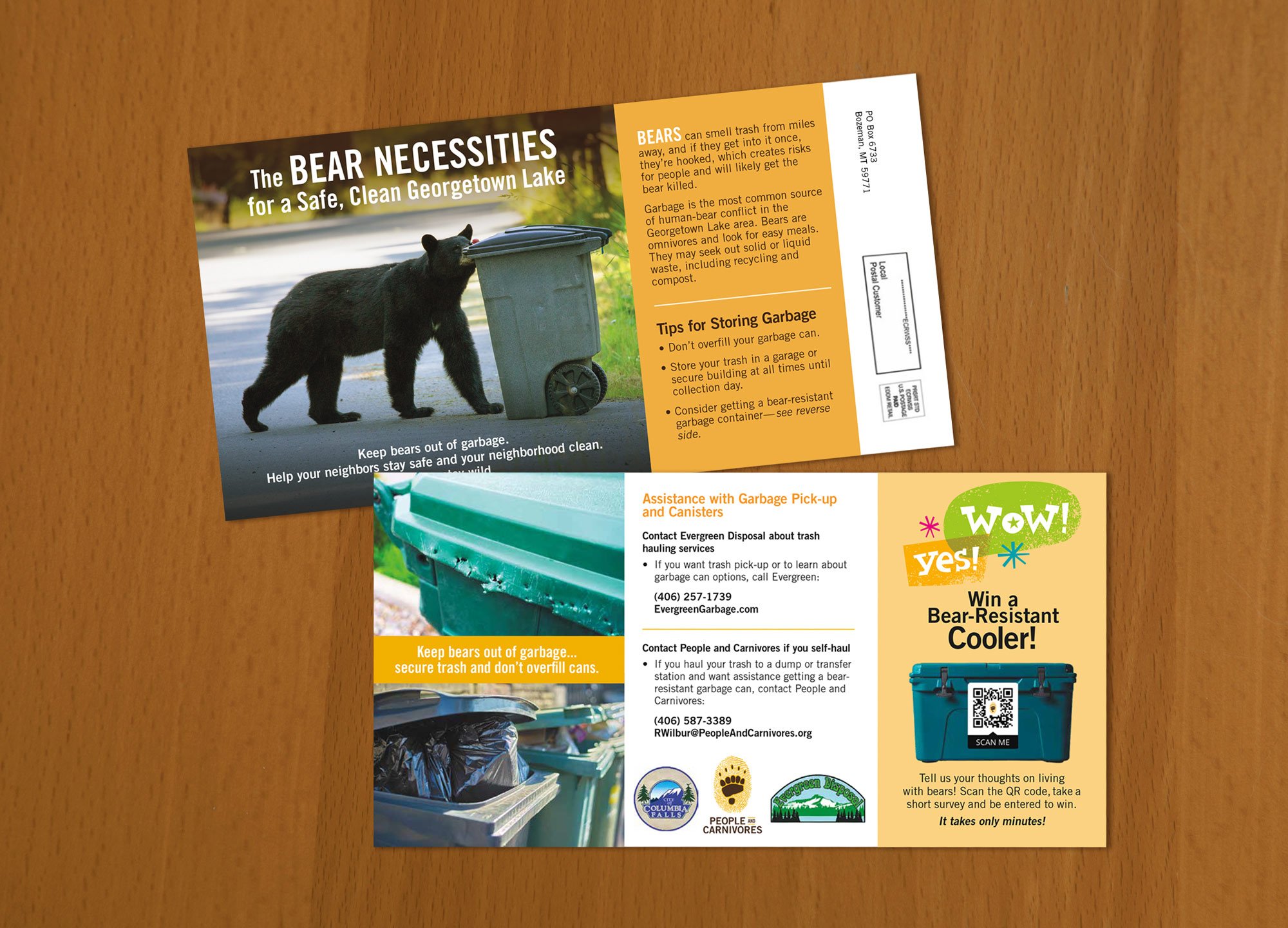 Bear safety EDDM postcard