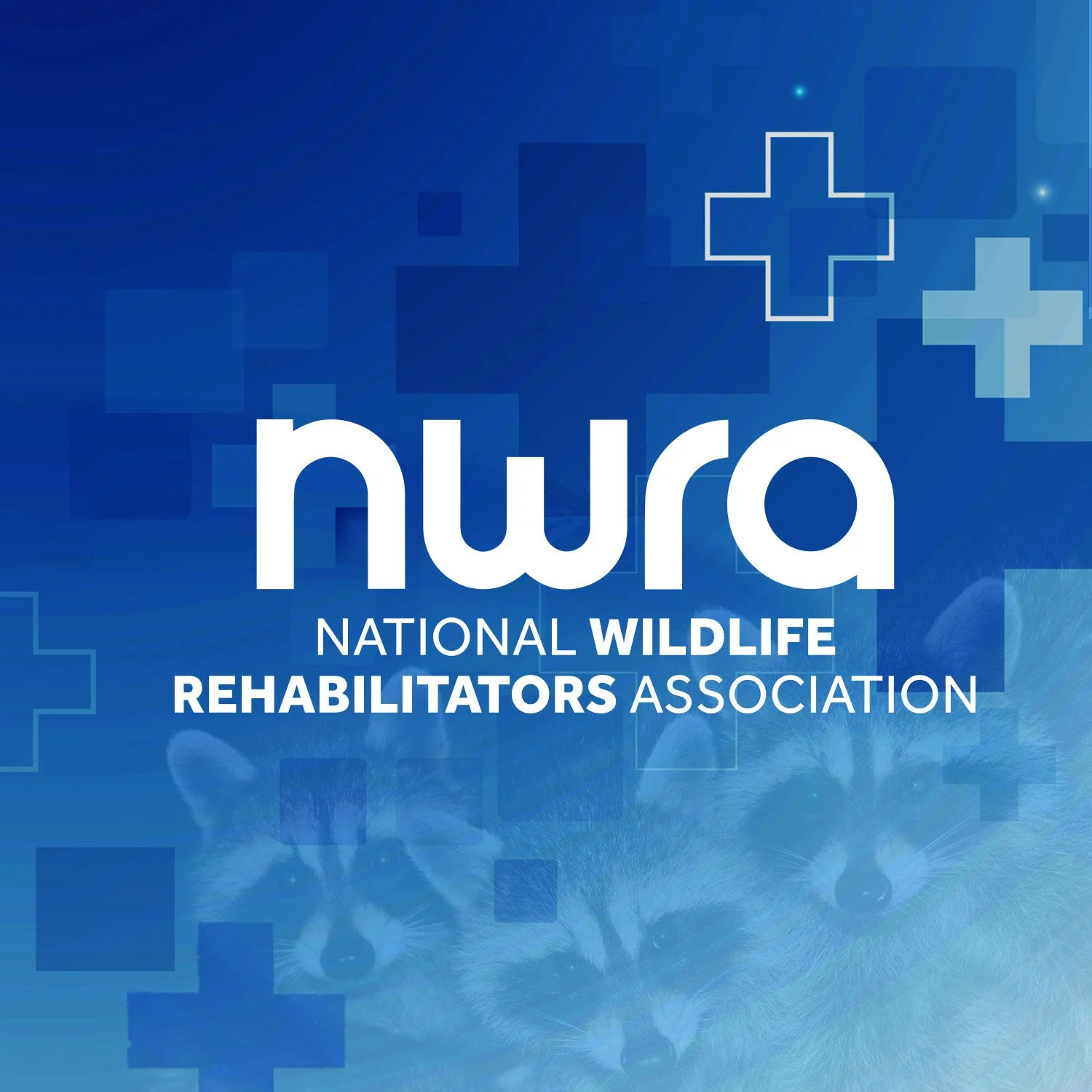 Logo of the National Wildlife Rehabilitators Association with a blue background, featuring images of two foxes and various medical cross symbols.