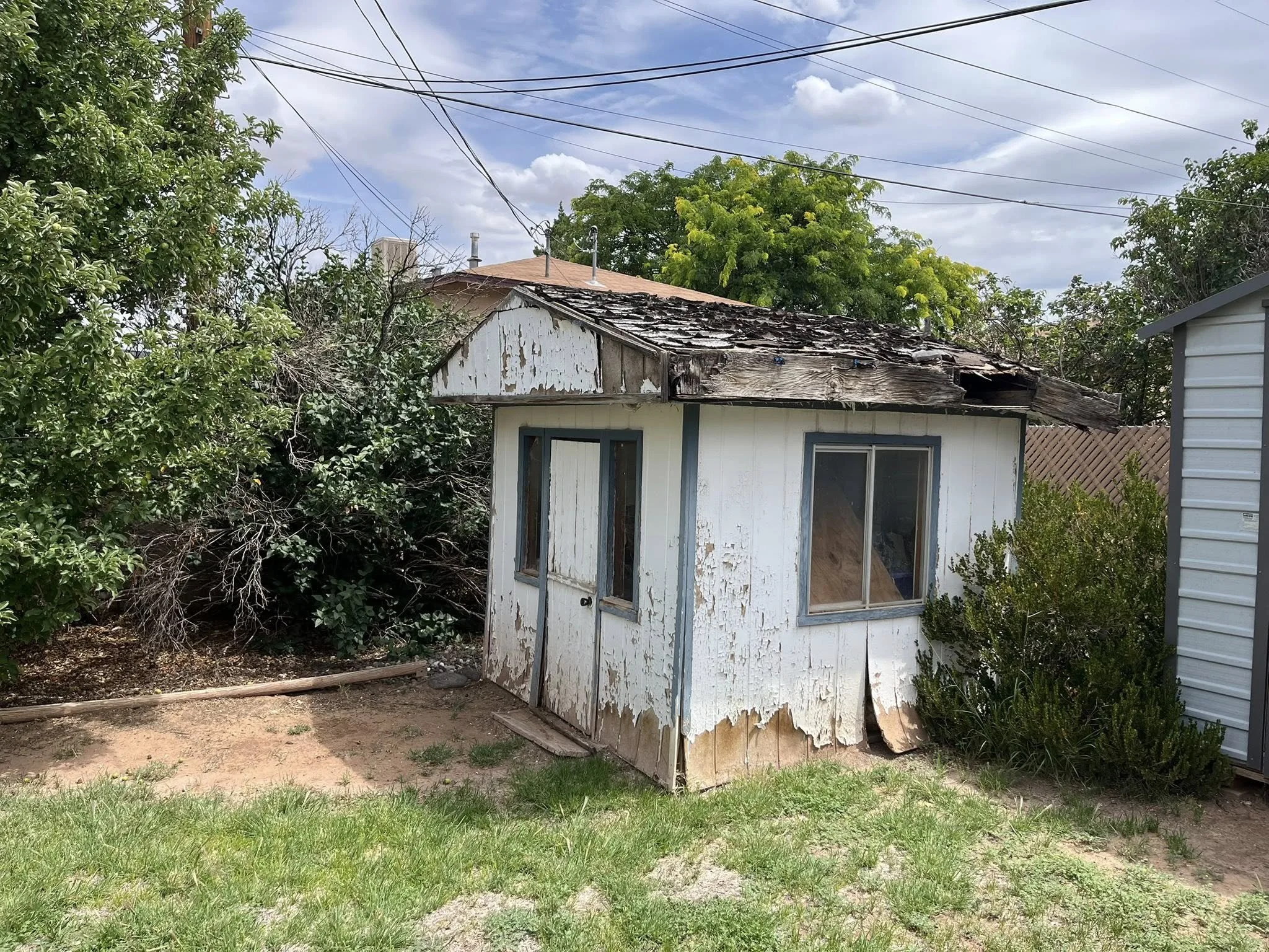Shed Image 1.jpg