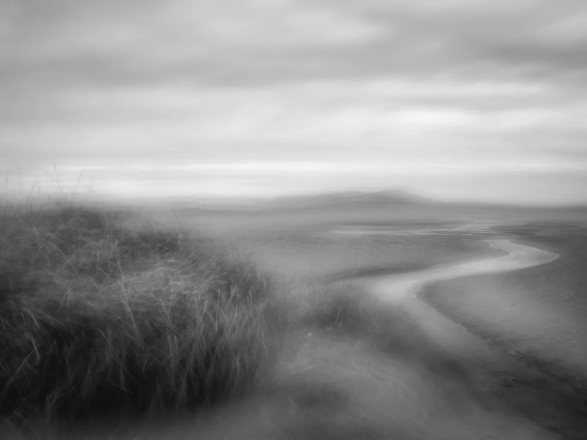 Black and white photo of a coastal landscape with grassy dunes on the left, a winding shoreline, and water extending to the horizon under a cloudy sky.