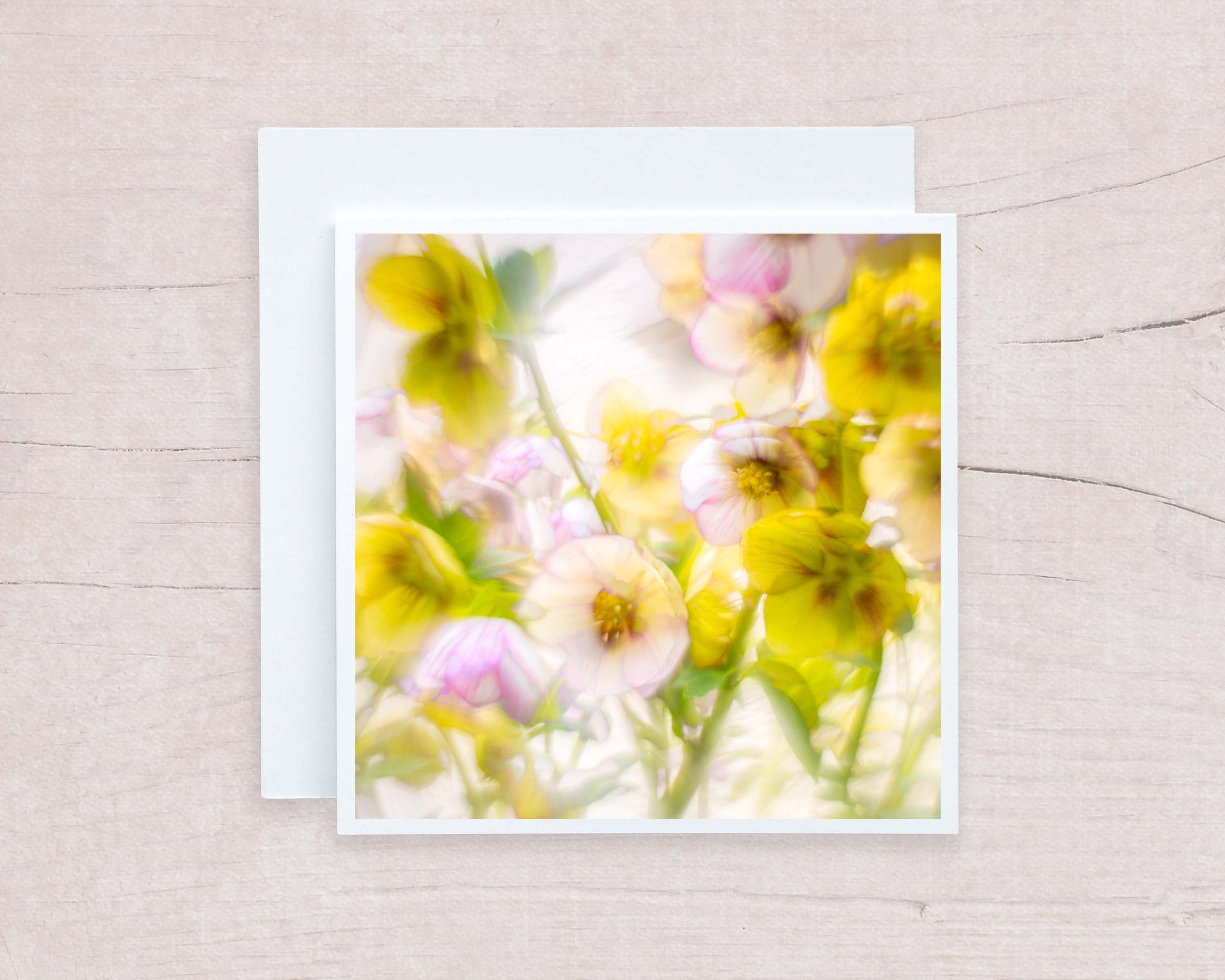 Hellebore 2 Card.jpg