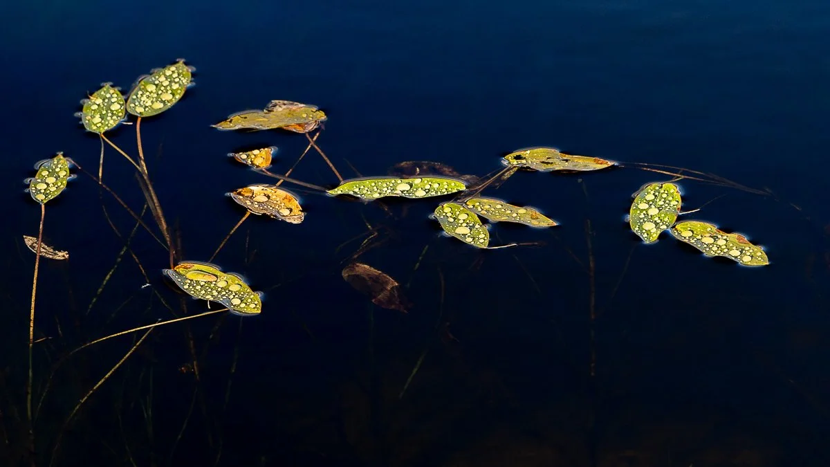 2M6A6508-TIFF 2-2.jpg