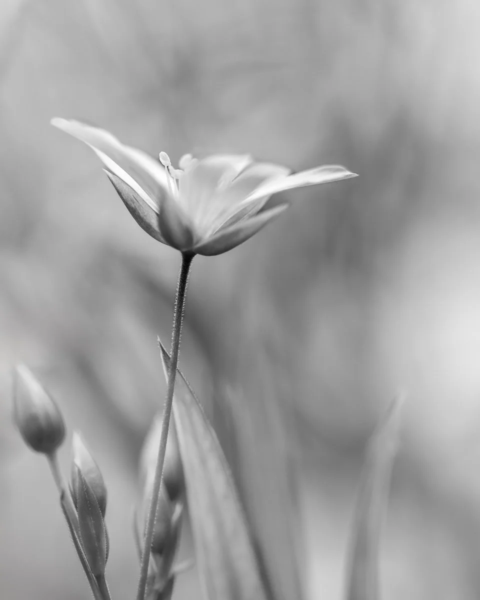 2M6A3443-Edit.jpg