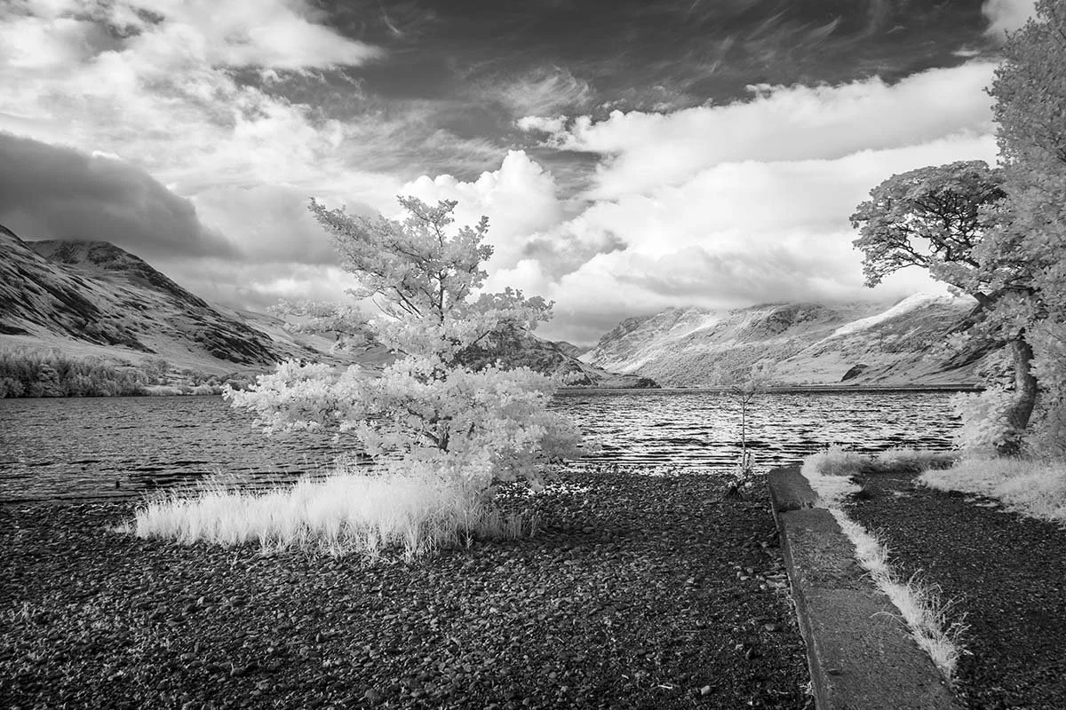 Crummock Views 21.6.23
