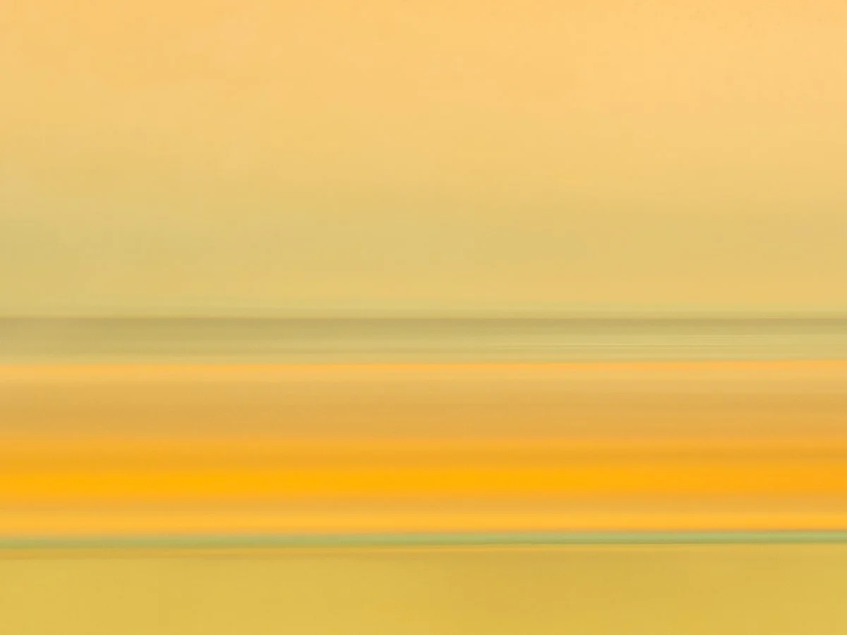 P8157263.jpg