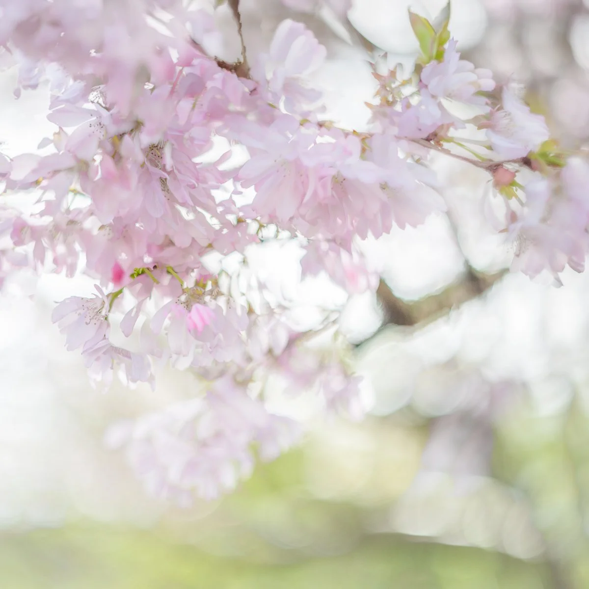 2M6A0334-Edit.jpg