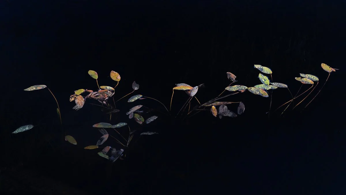 2M6A6502-TIFF 2-3.jpg