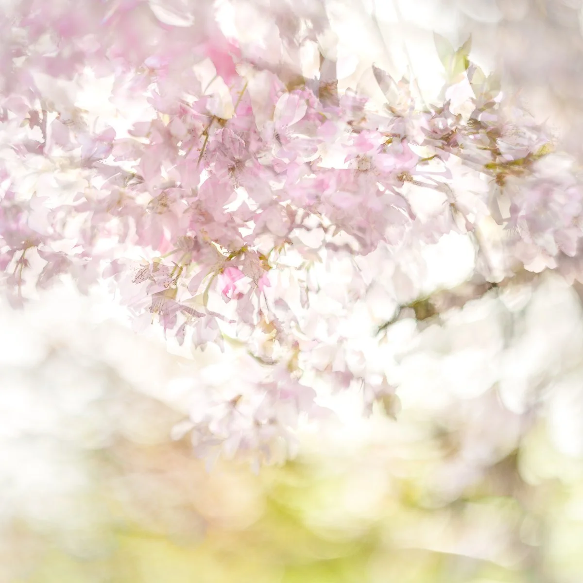 2M6A0330-Edit.jpg