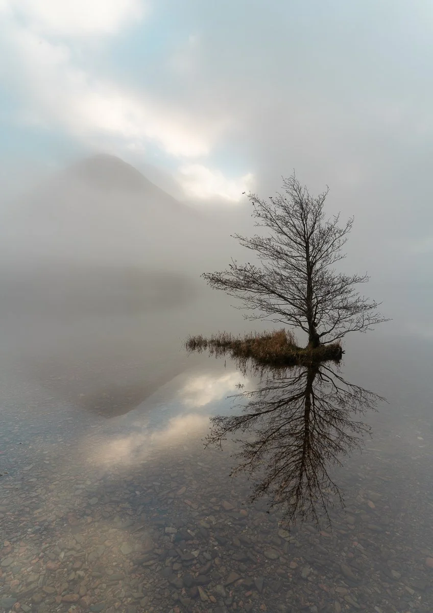 A solitary leafless tree on a small patch of land reflected in calm water, with foggy mountains and cloudy sky in the background.