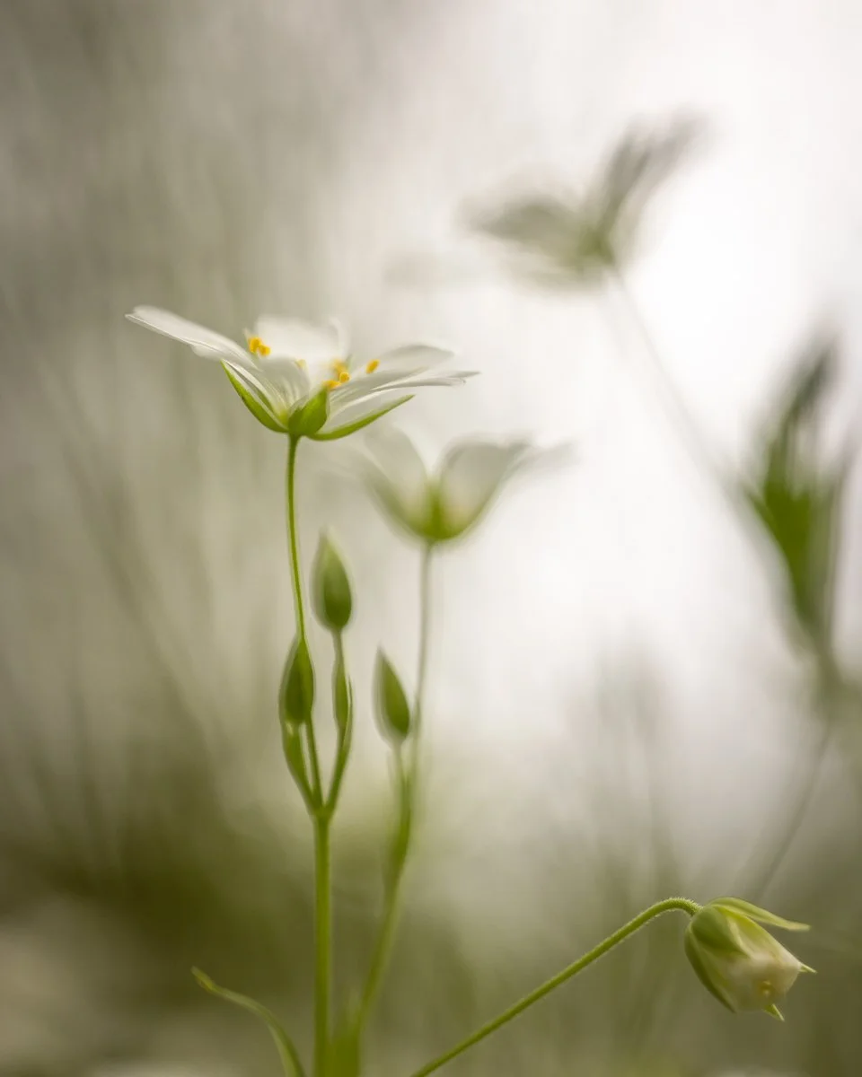2M6A3448-Edit.jpg