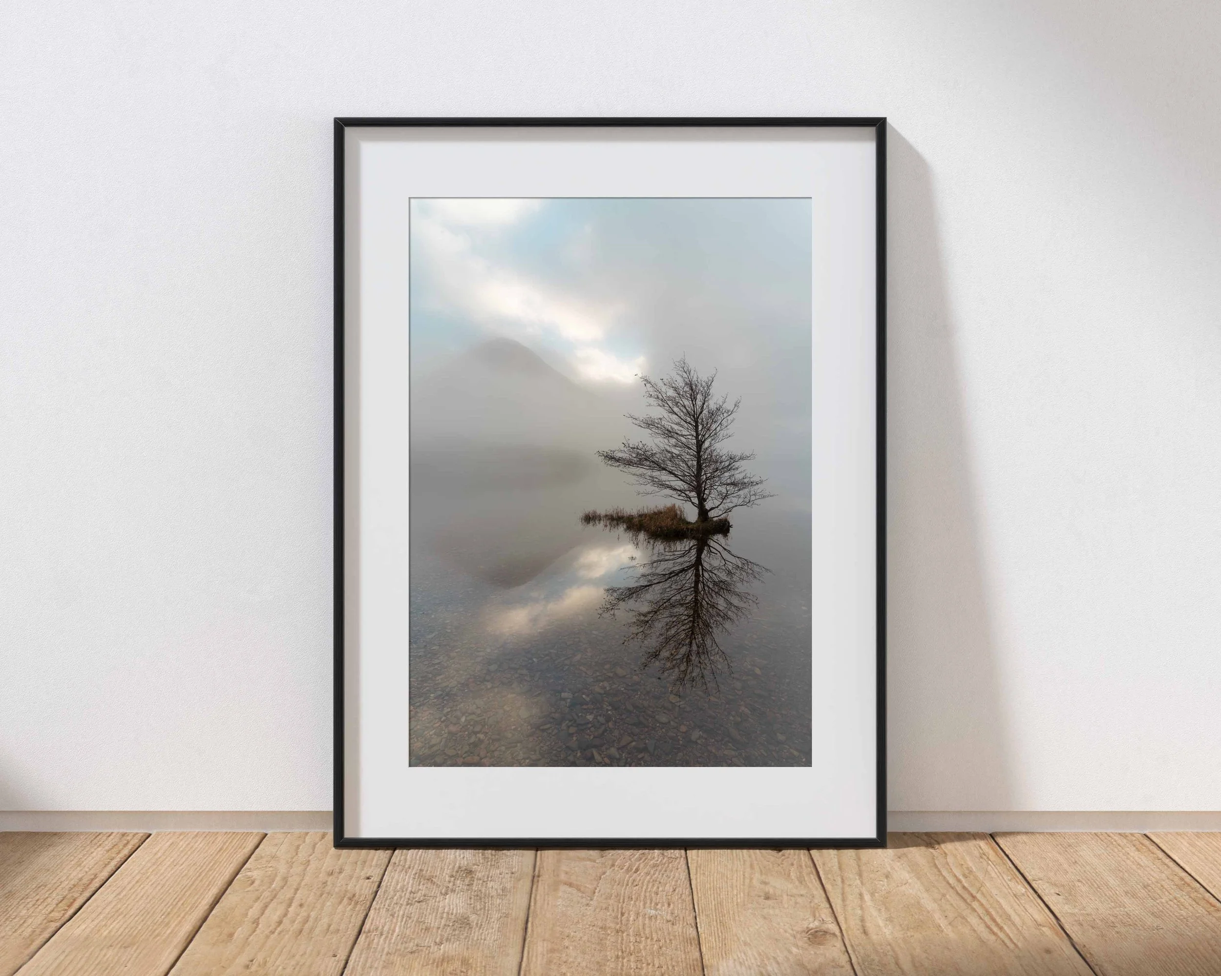 Framed landscape photograph of a solitary tree reflected in a calm lake and surrounded in mist