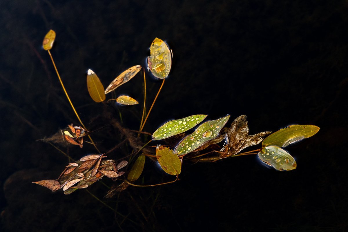 2M6A6515-TIFF 2-2.jpg