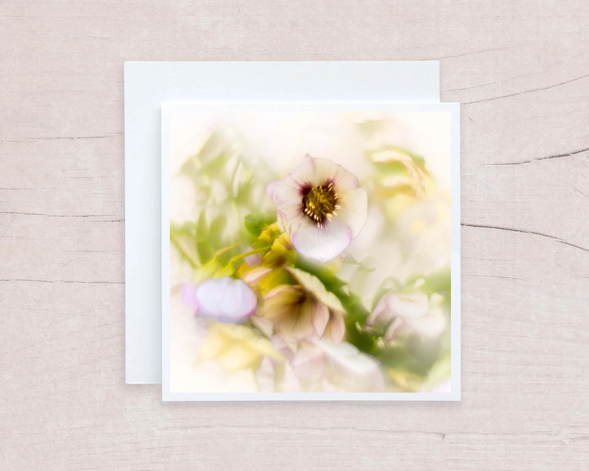 Hellebore 1 card.jpg