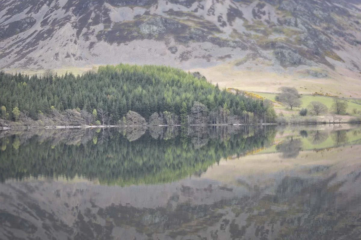 High Wood Reflected 26.4.23