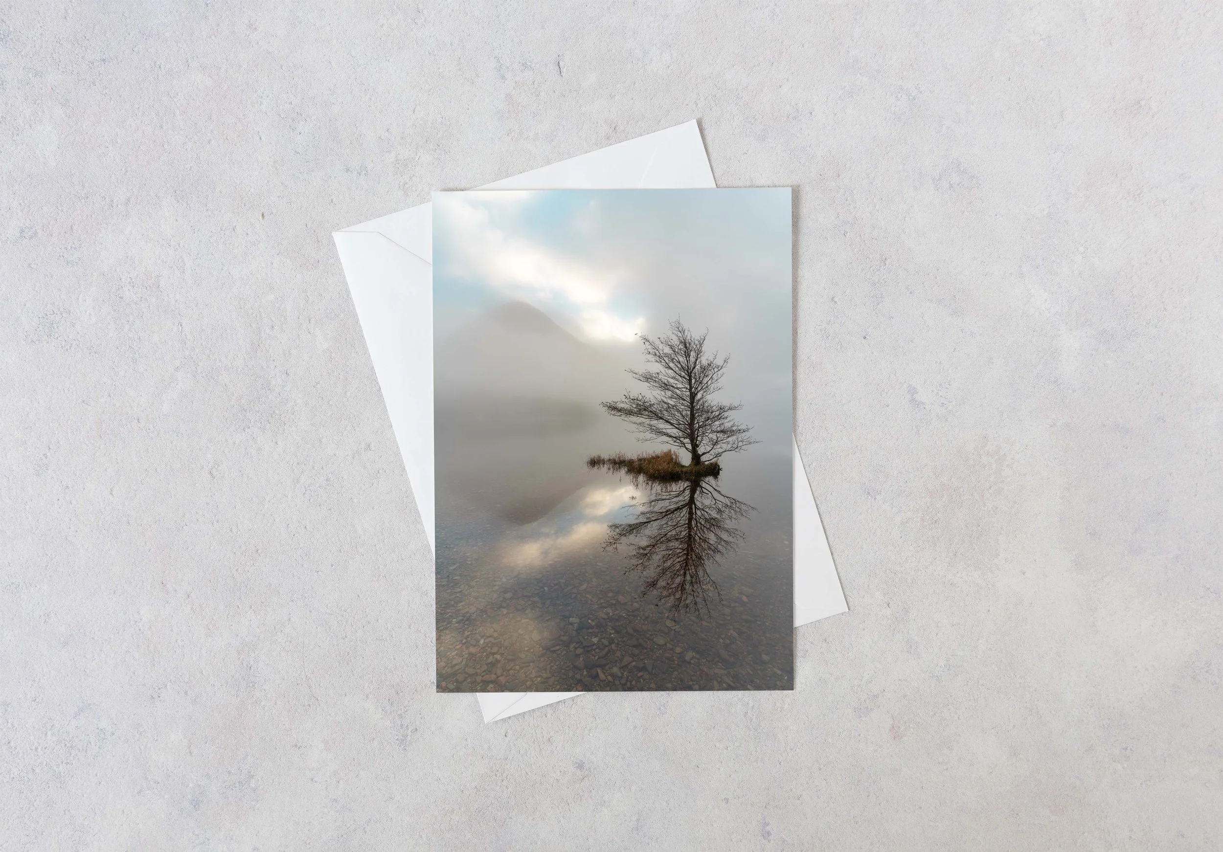 A photograph of a solitary tree reflecting in a calm Crummock Water and surrounded by mist.