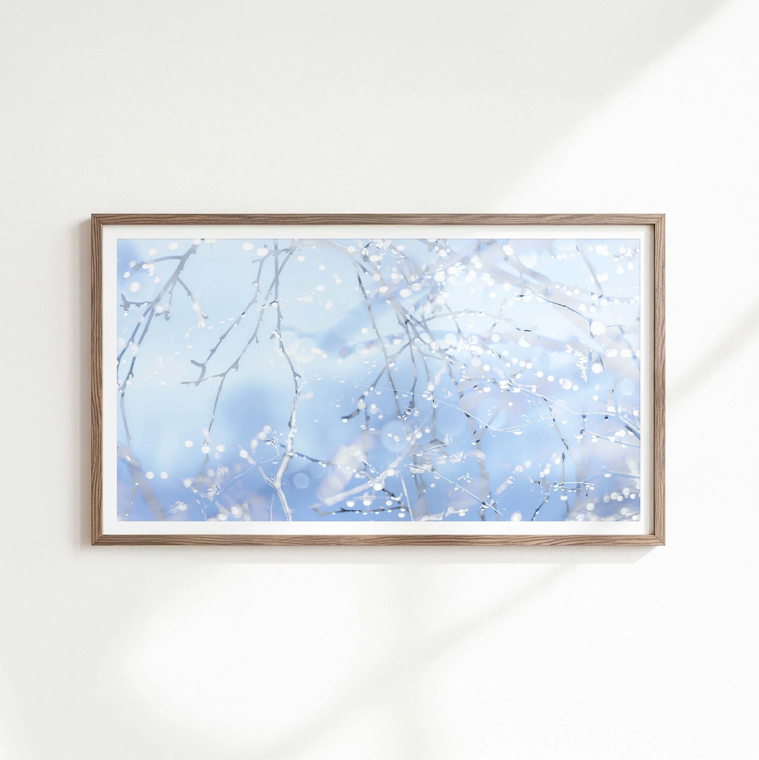 Twigs and Droplets.jpg