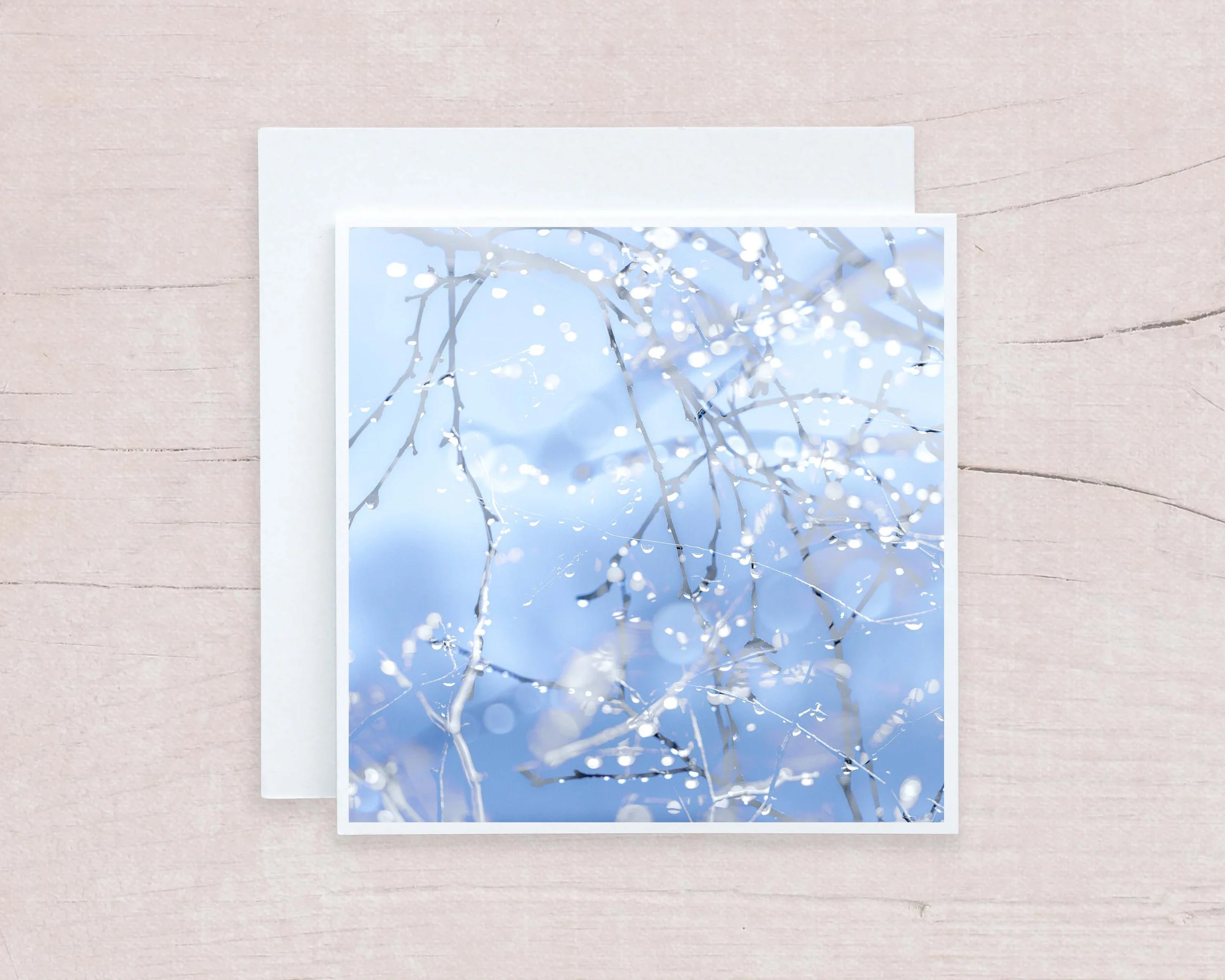 Twigs & Dewdrops Square 5x5.jpg
