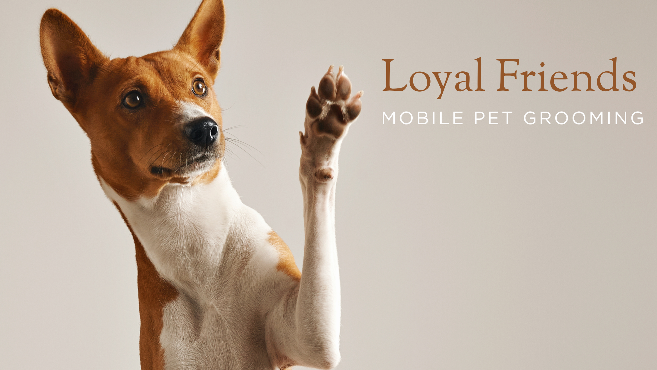 A brown and white dog with perky ears raising a paw, with text saying 'Loyal Friends Mobile Pet Grooming'.