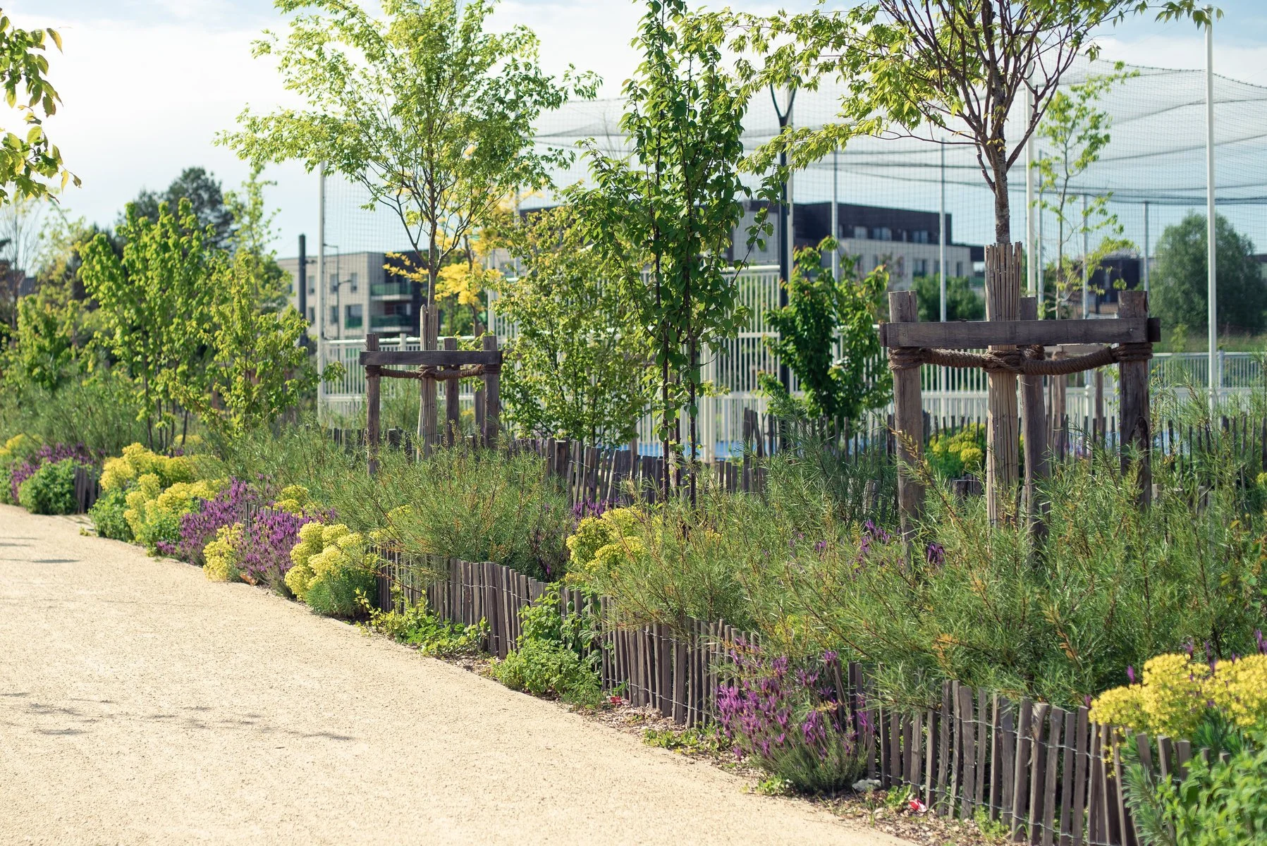 Plaine Peluau, Angers  //  Photographie : PRISME