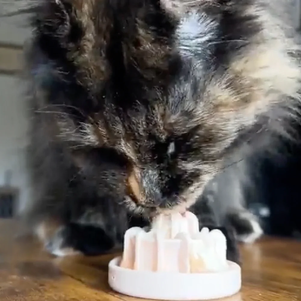 Cat eating from Freezdrip Cat Slow Feeder