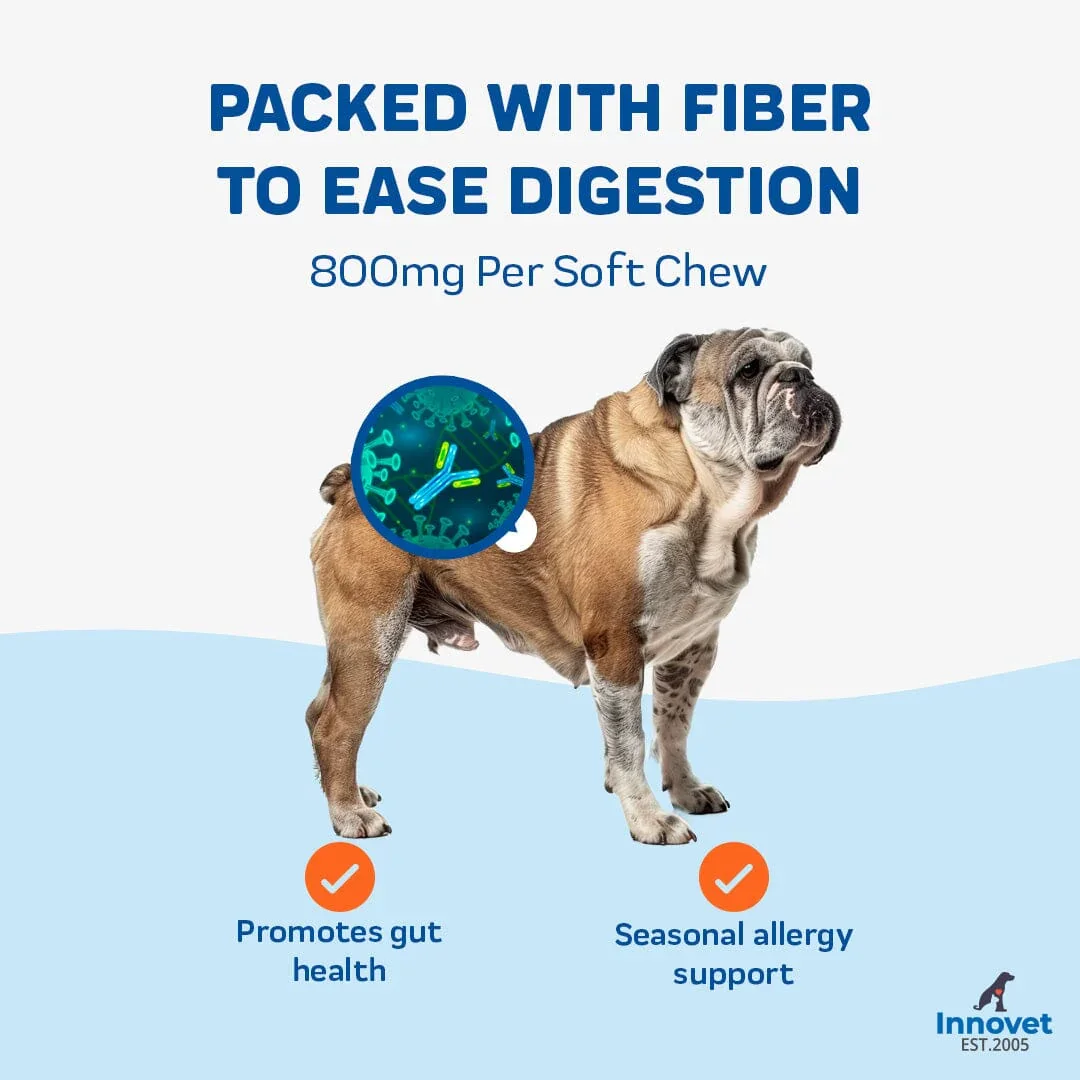 Probiotic digestive support supplement for dogs by Innovet Pet with veterinary-formulated ingredients