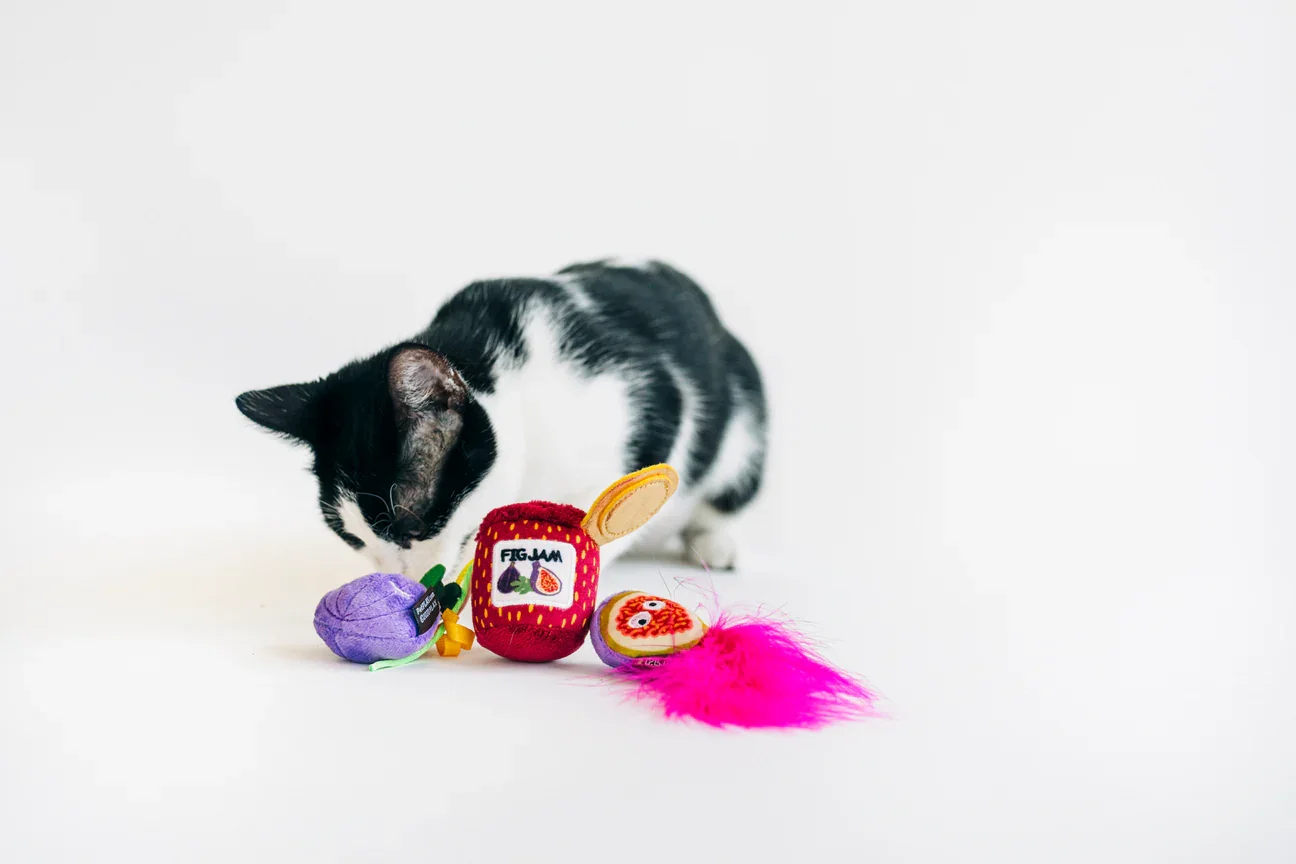 Cat playing with Handcrafted catnip toy made with recycled stuffing and safe dyes