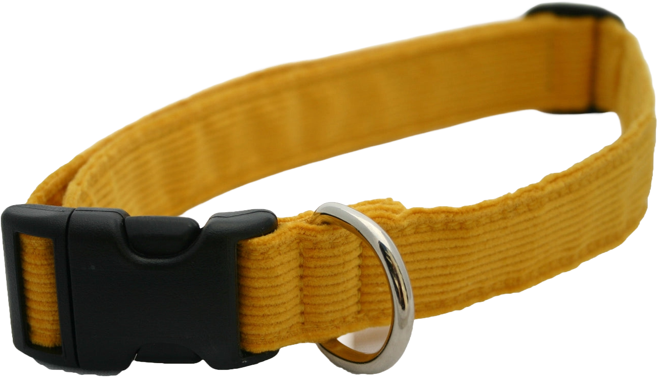 A yellow fabric pet collar with a black plastic buckle and a silver metal ring.