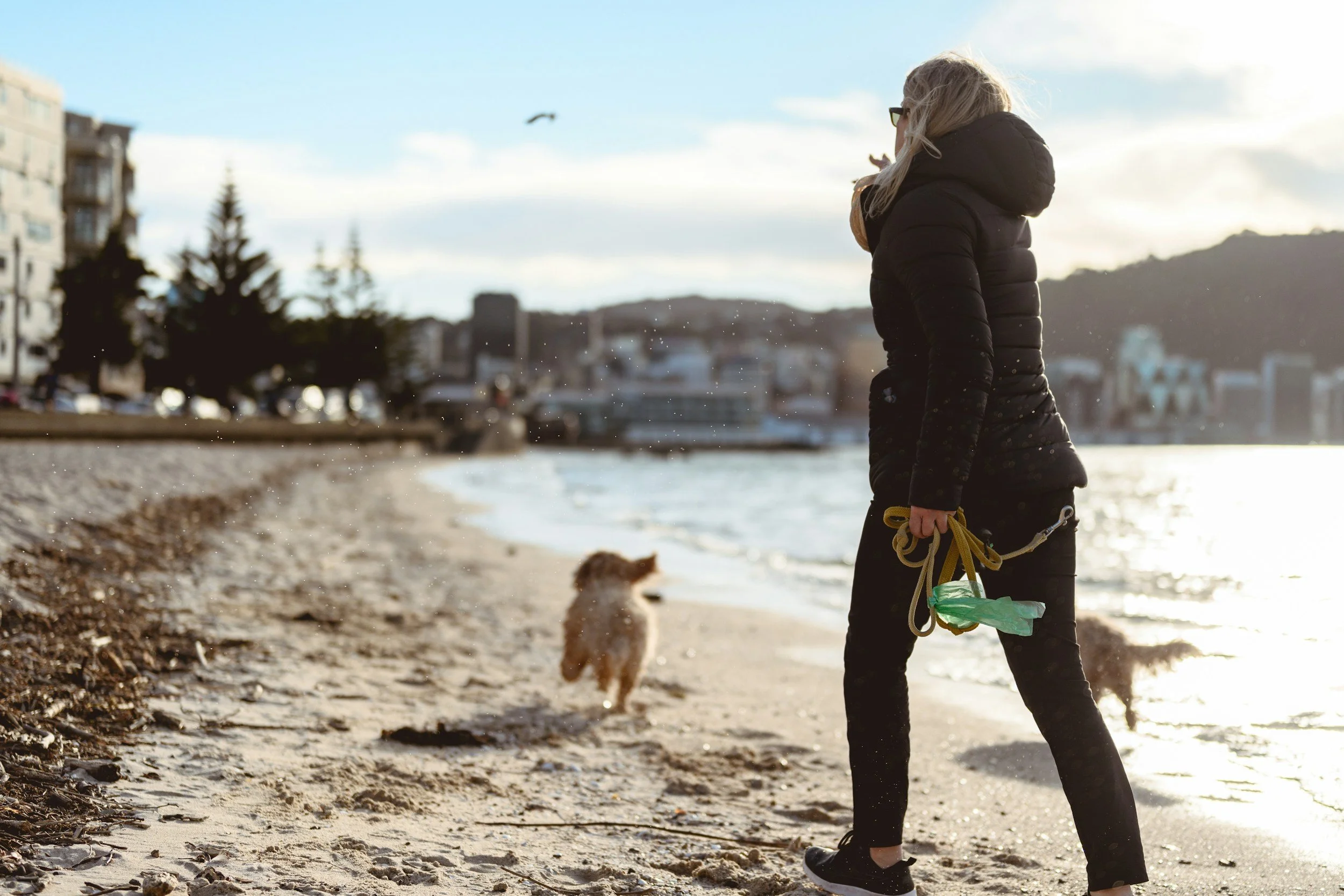 A woman in black winter clothing holding a leash on a beach, with a small dog running ahead. The woman is facing away and looks towards the water, with a seagull flying overhead and a cityscape in the background.