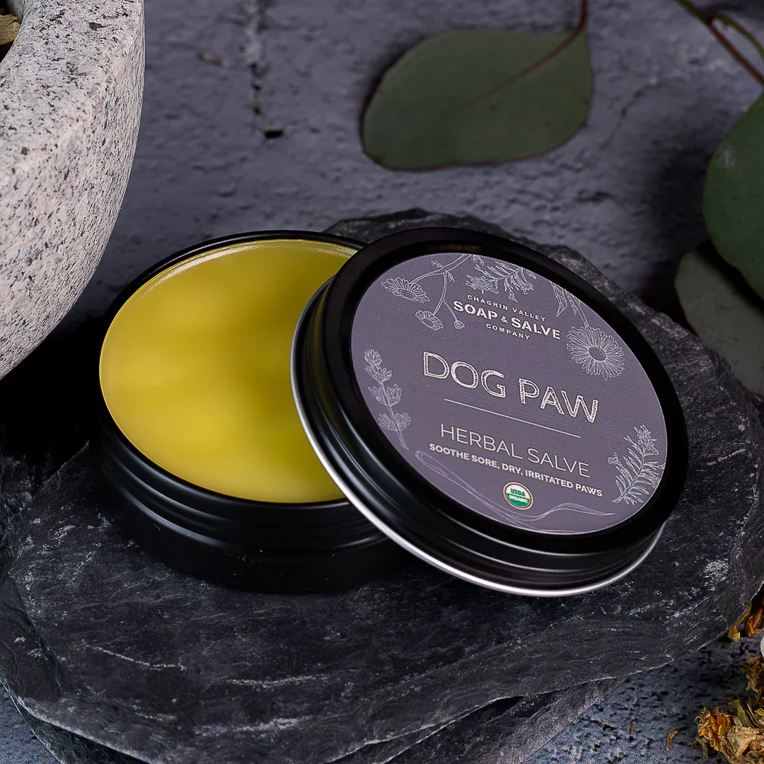 Organic dog paw balm made with calendula and nourishing plant oils