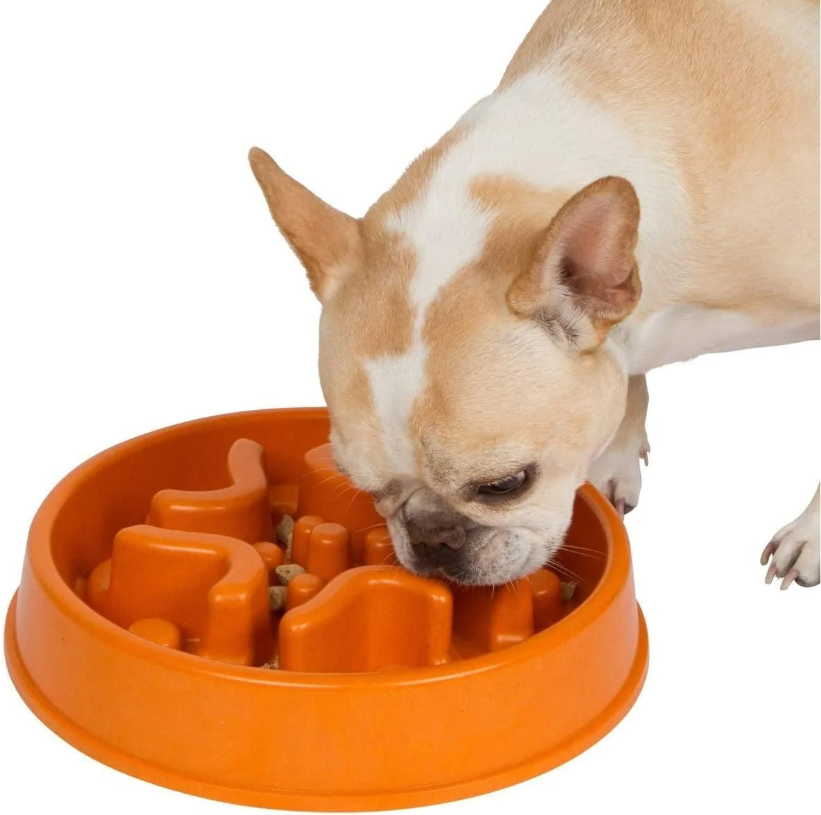 Dog eating from bamboo slow feeder bowl designed to reduce fast eating and choking