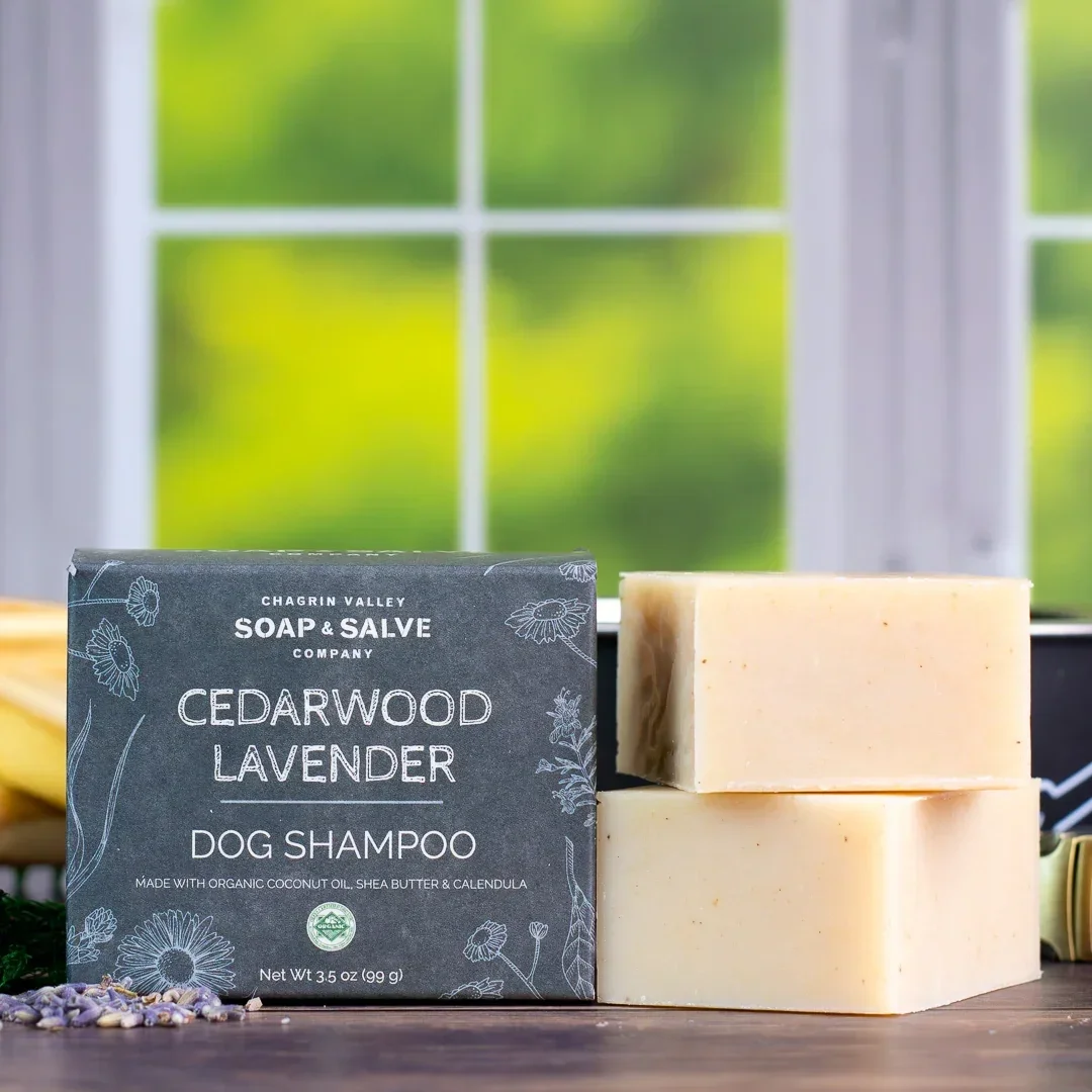 Dog shampoo and soap bars on a wooden surface with a window in the background.