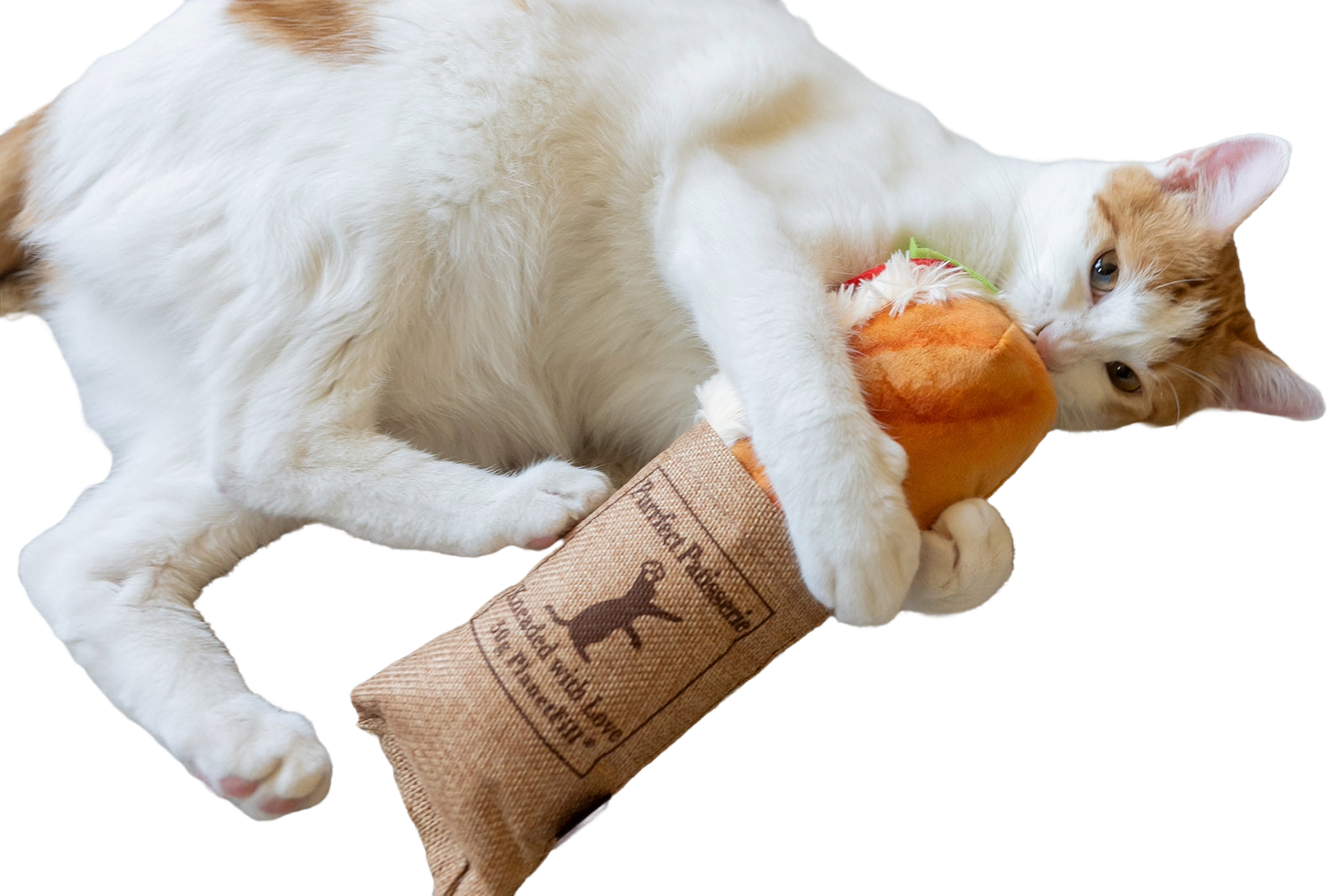 A white and orange cat lying on its side, holding a plush toy that looks like a bottle wrapped in cloth with a dog silhouette logo and text on it.