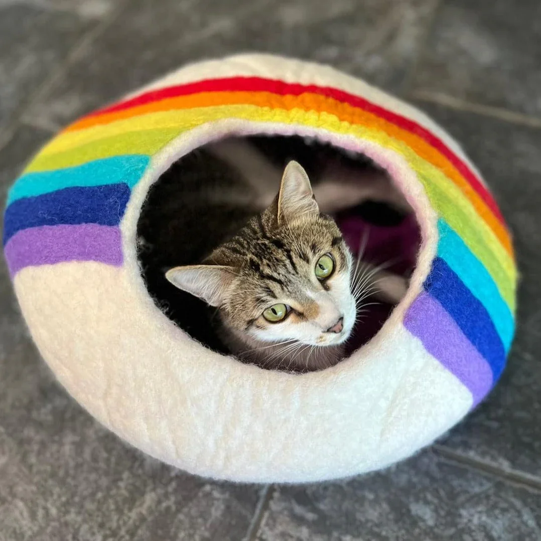 Top view of cat inside New Zealand Wool Rainbow Cat Cave