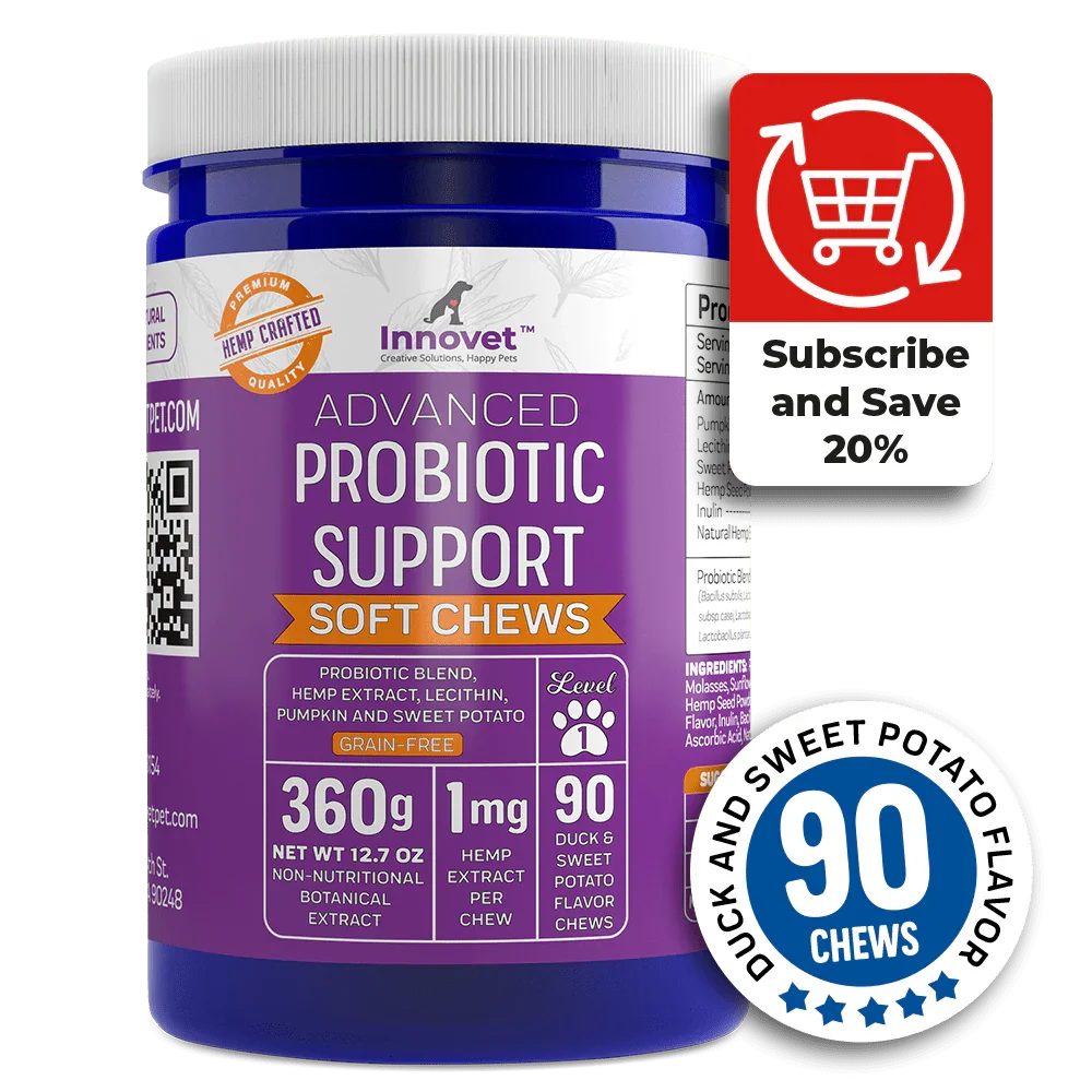 Innovet Pet Advanced Probiotic digestive supplement for dogs in bottle packaging