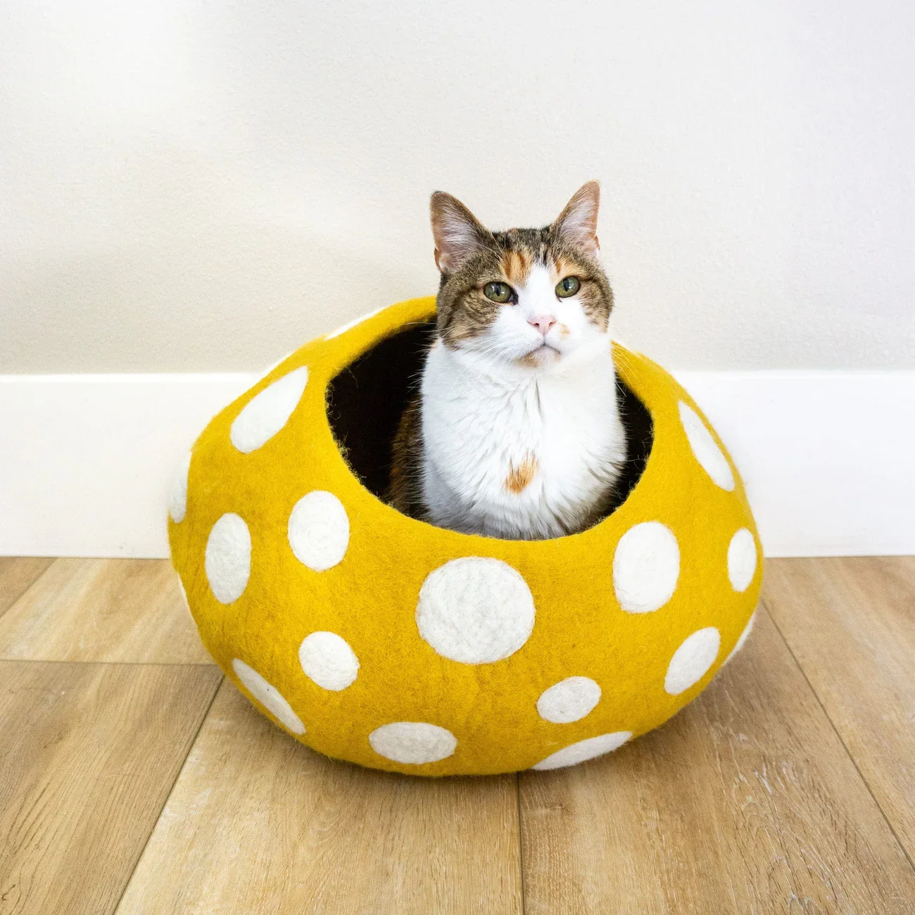 A cat sitting inside a yellow, polka-dotted felt bed on a wooden floor.