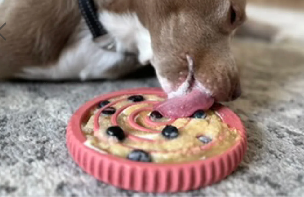 Strong dog chew toys made for large dogs and strong jaws